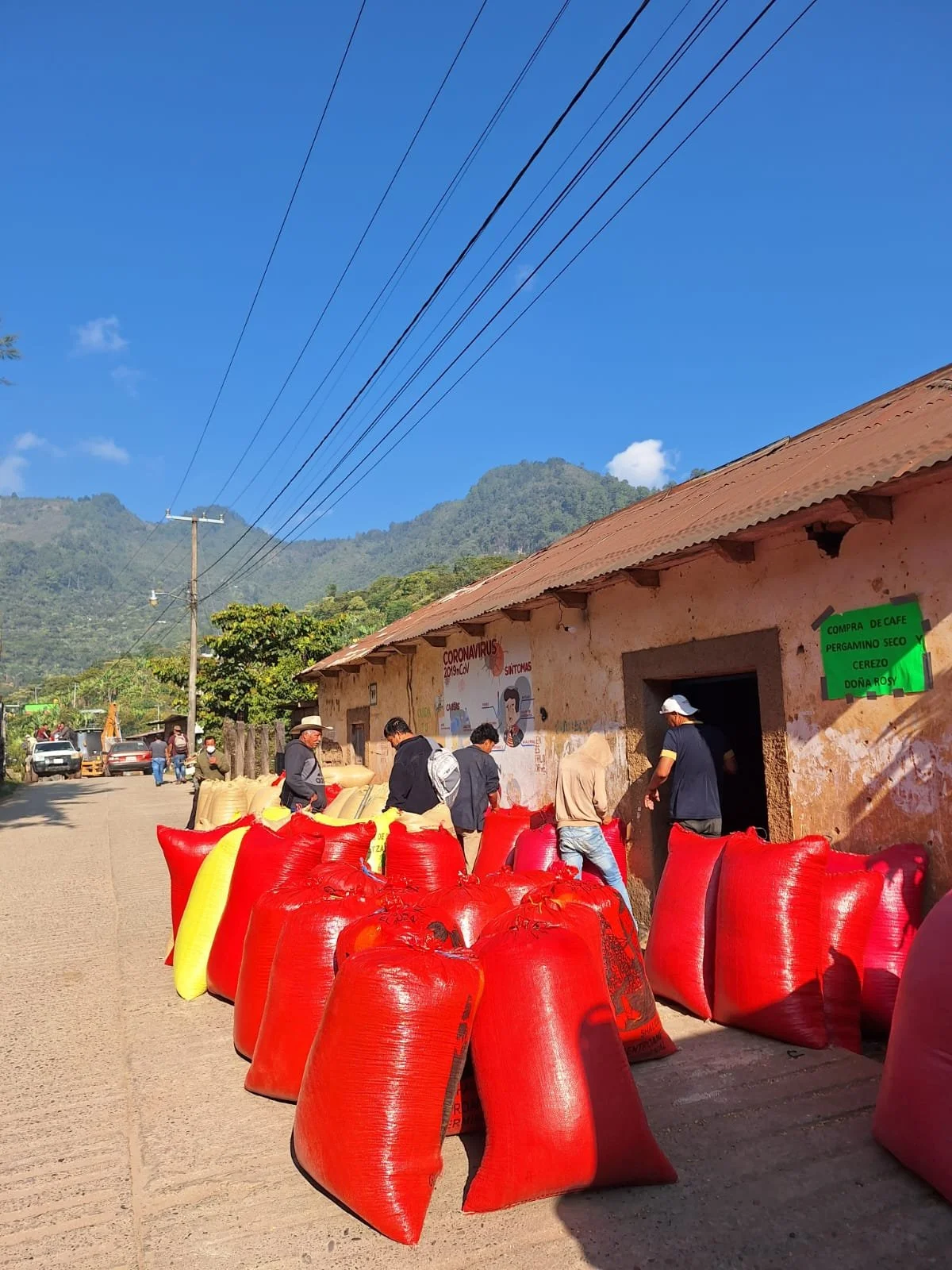 WhatsApp Image 2026-02-19 at 9.23.20 AM.jpeg