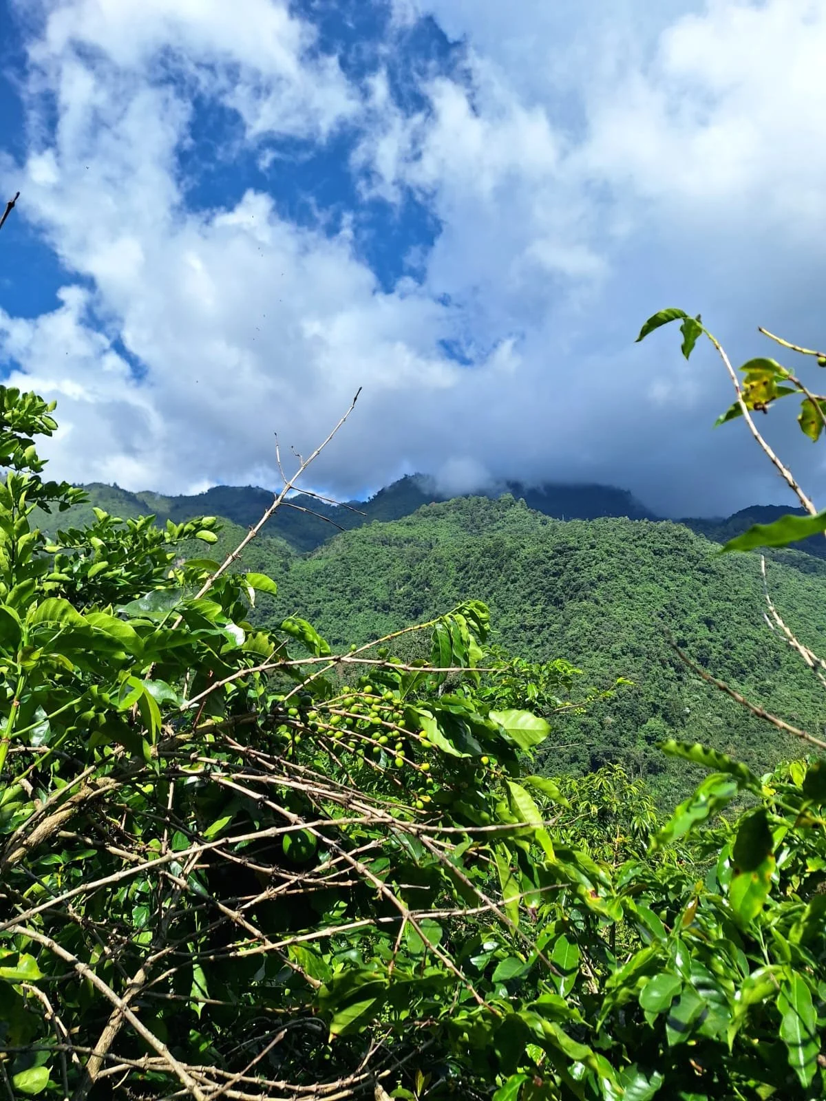 WhatsApp Image 2026-02-20 at 7.06.58 PM (1).jpeg