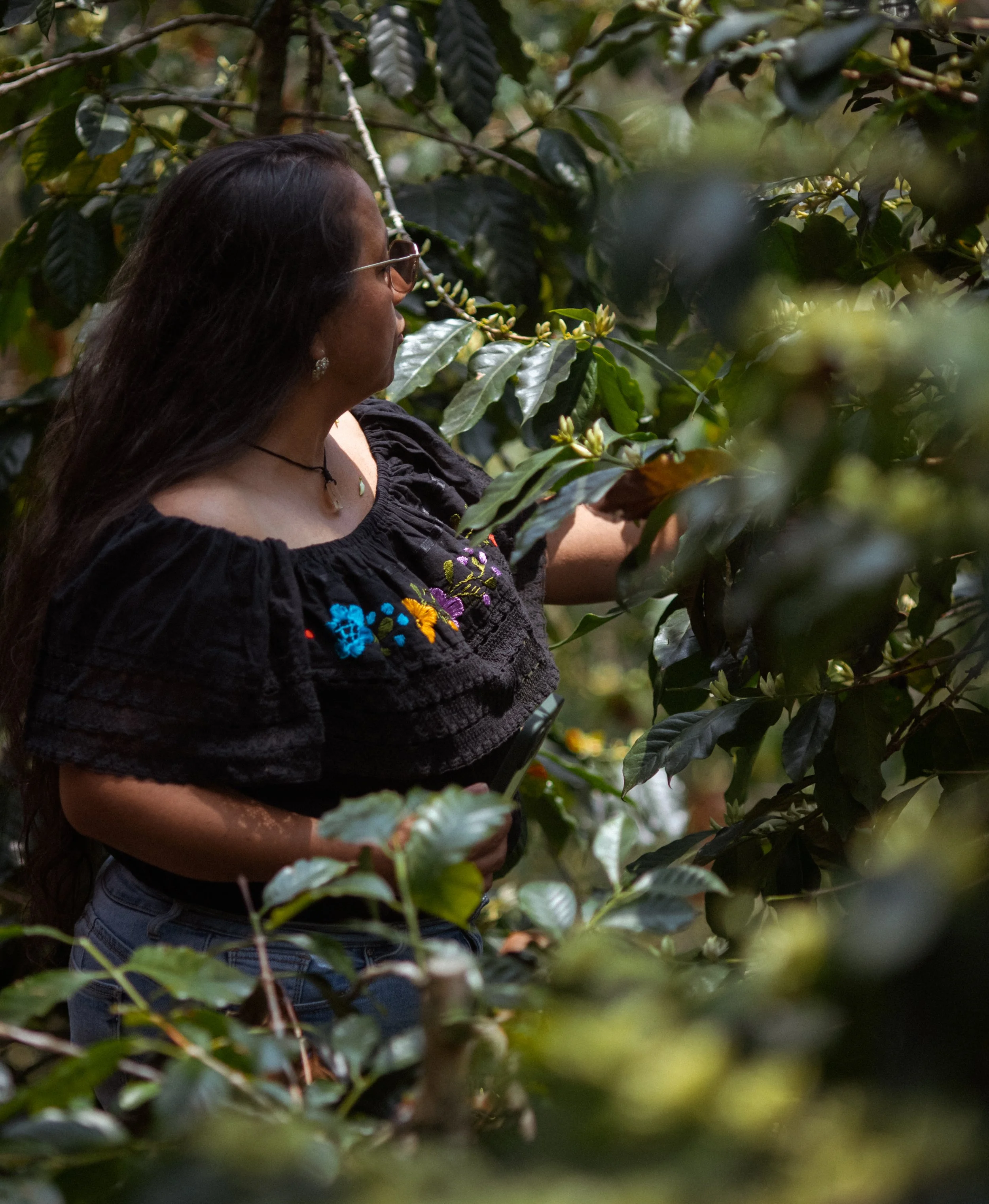 MayanHarvest2023_IG-197.jpg