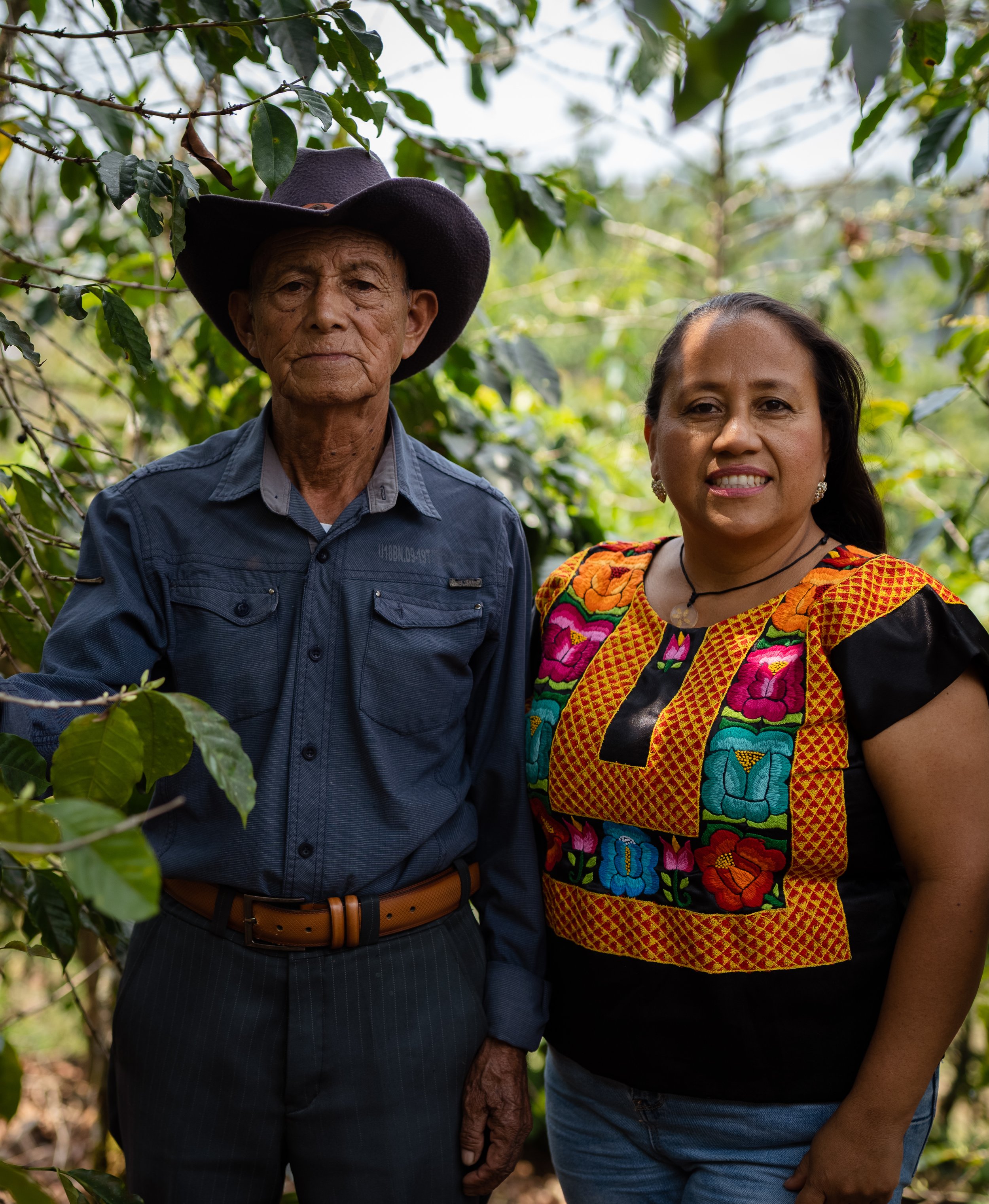 MayanHarvest2023_IG-211.jpg