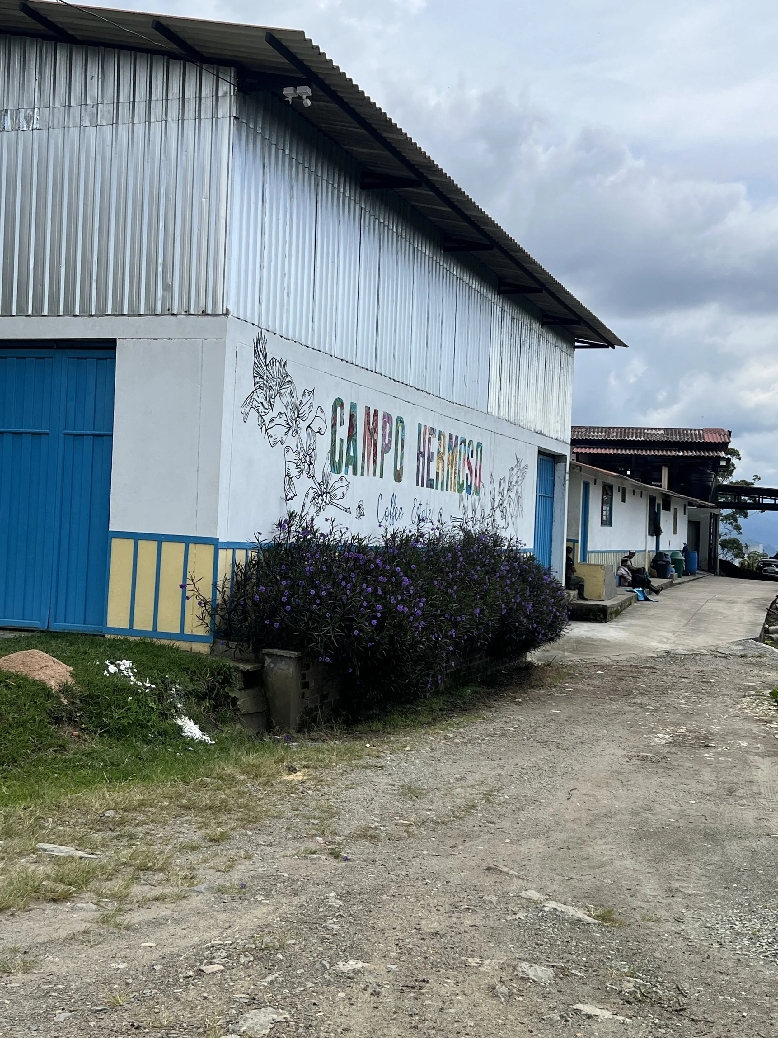 campohermoso2.jpg