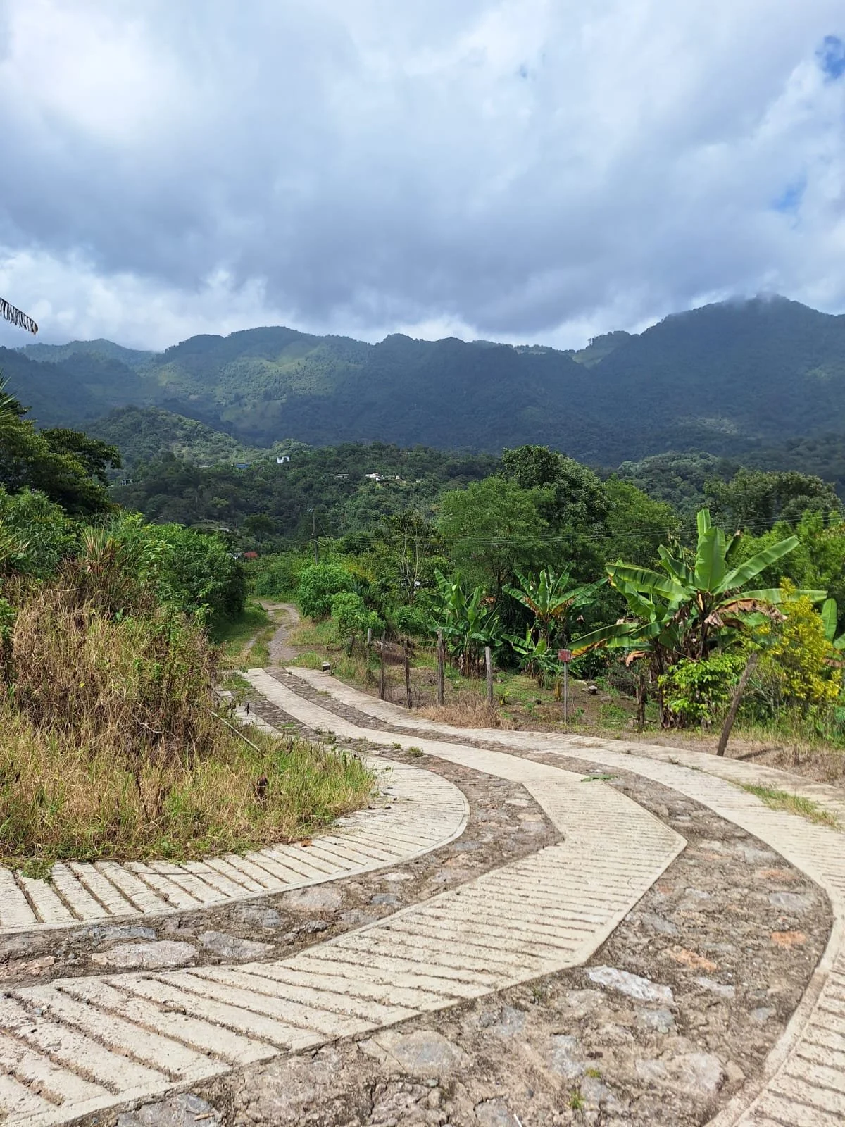 WhatsApp Image 2026-02-20 at 7.06.59 PM (2).jpeg