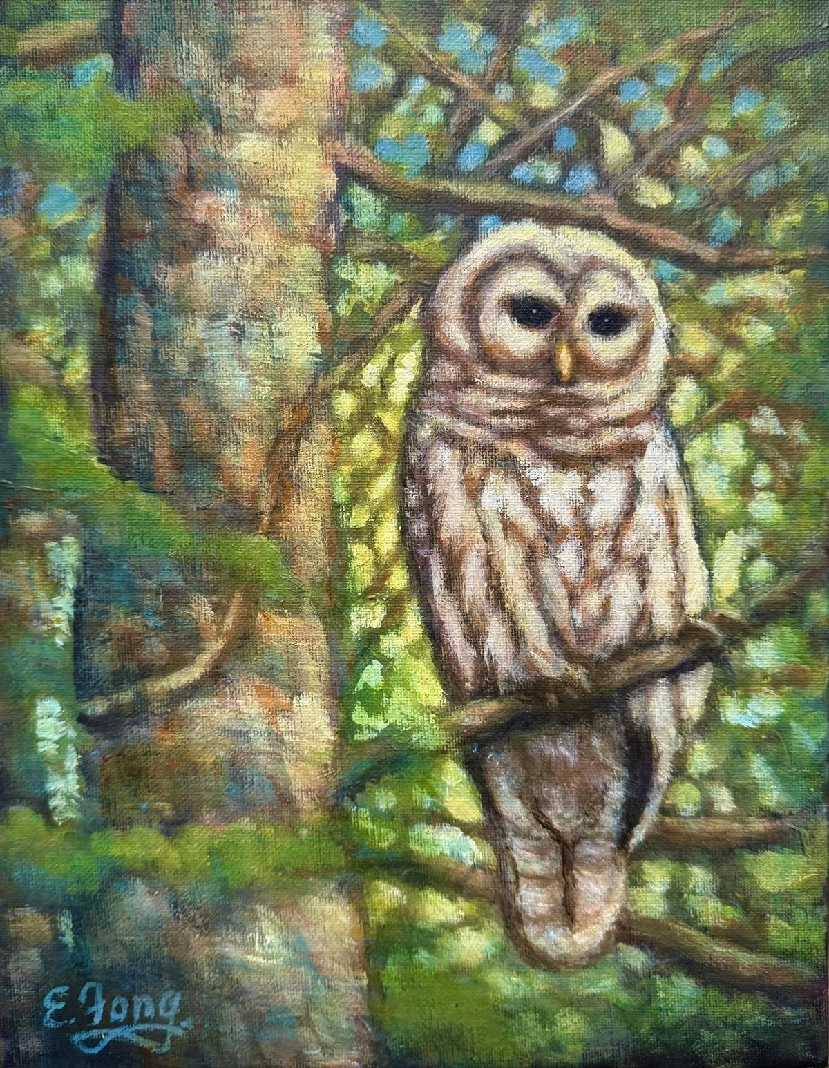  Barred Owl in Forest  
Acrylic 14"x11" (36x28cm)