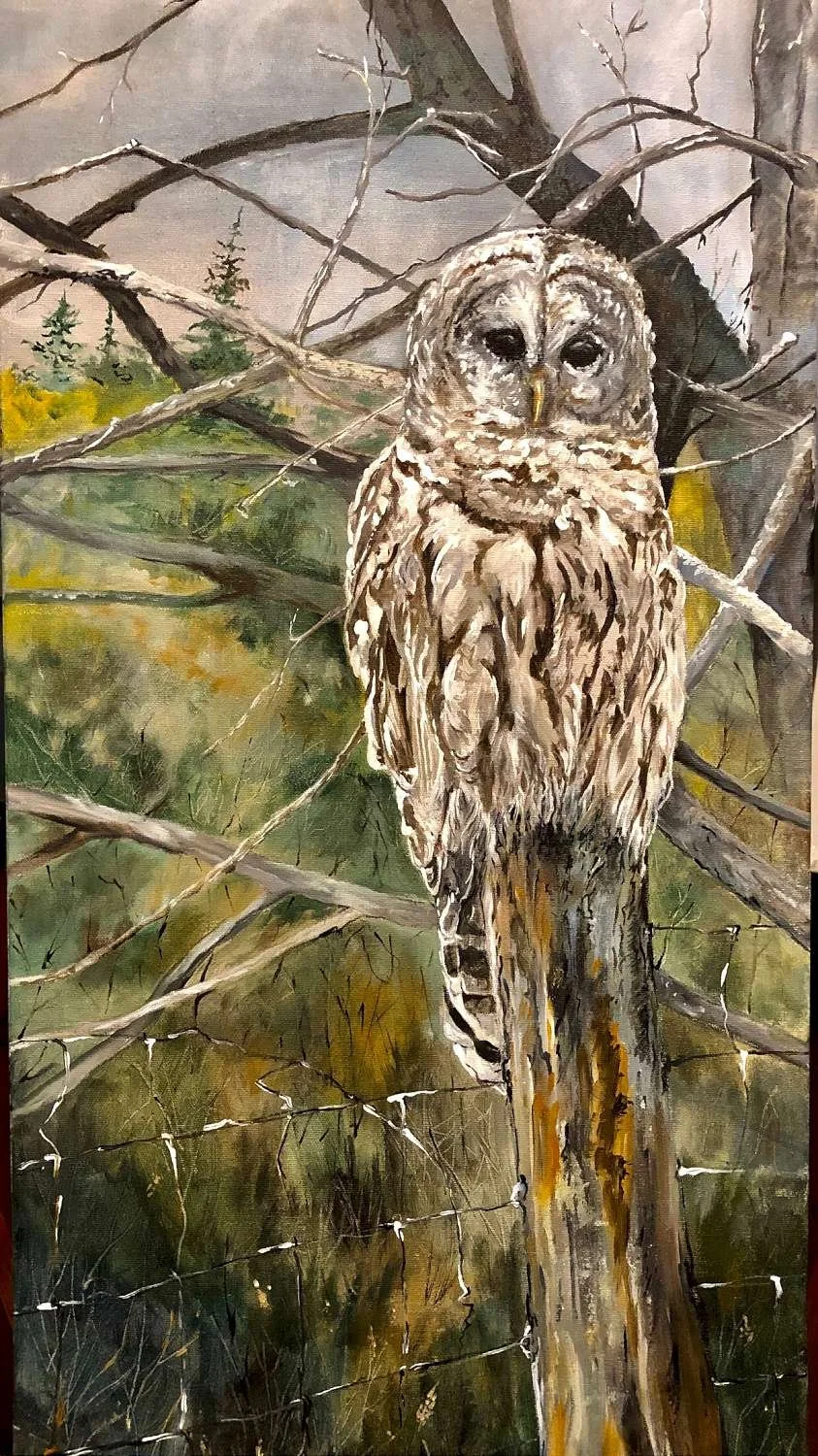 Stealth 
Acrylic 15"x30"