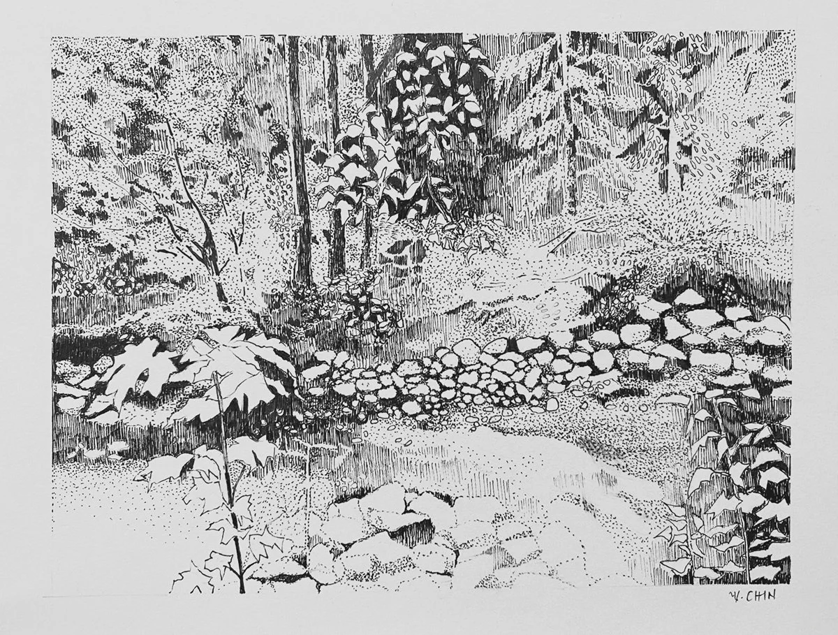  Ageless  
Pen and Ink 4 1/2”x6” Framed 9" x 11" 