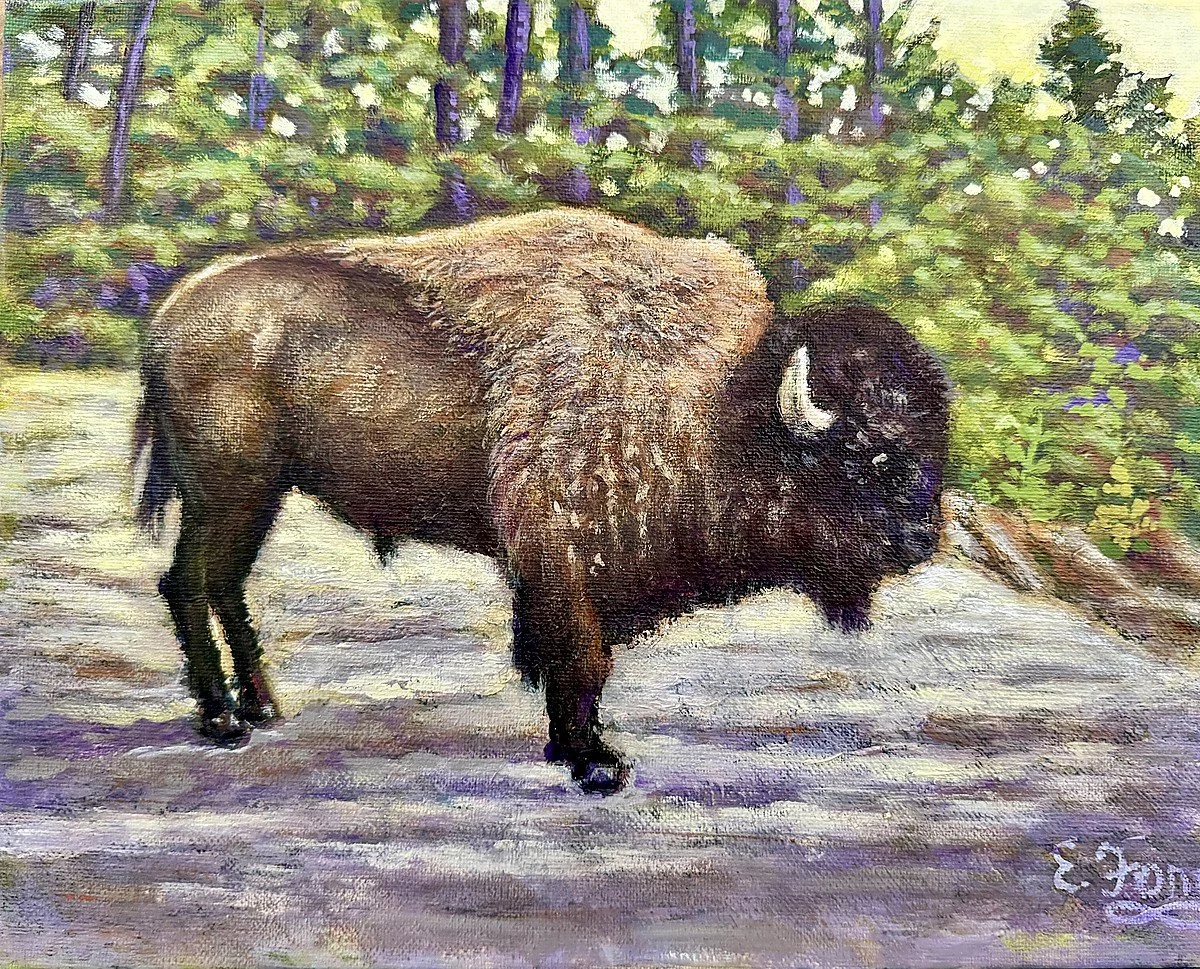  The Bison Story   
Acrylic 11"x14" (28x36cm)