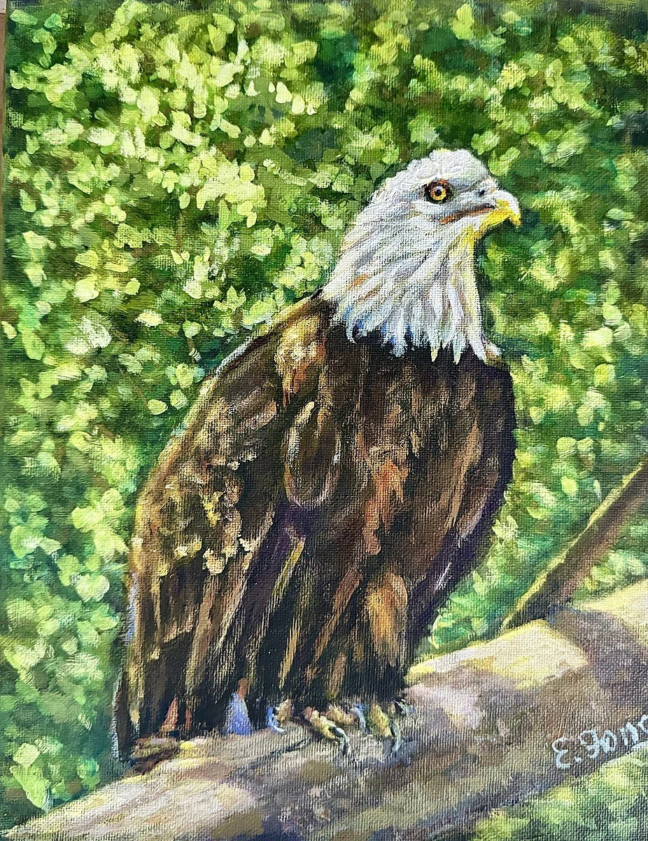  Bald eagle in the Light  
Acrylic 14"x11" (36x28cm)