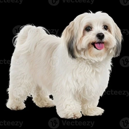  Title  
Acrylic 16"x24"