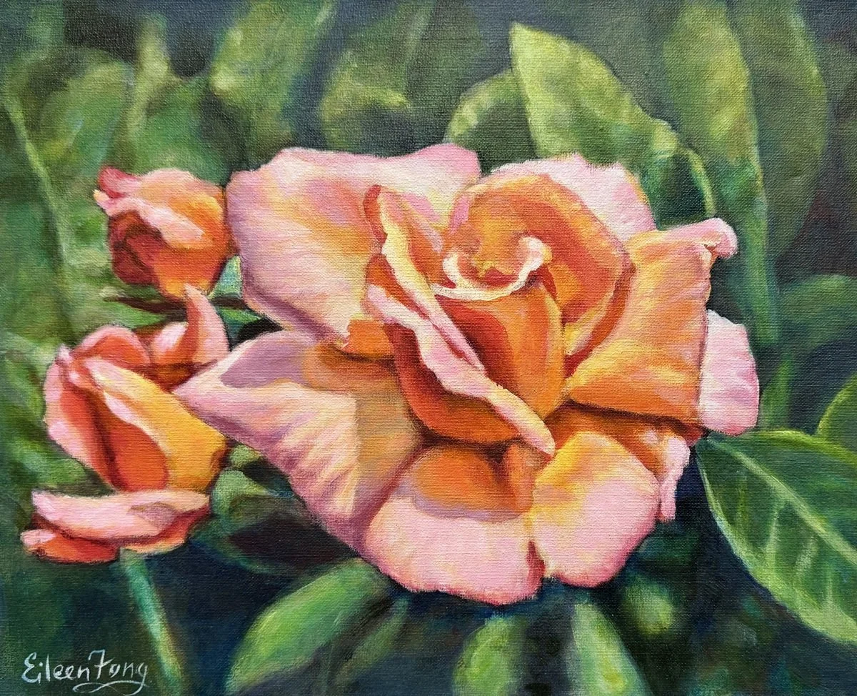  Peach Rose Glow   
Acrylic 16"x20" (41x51cm)