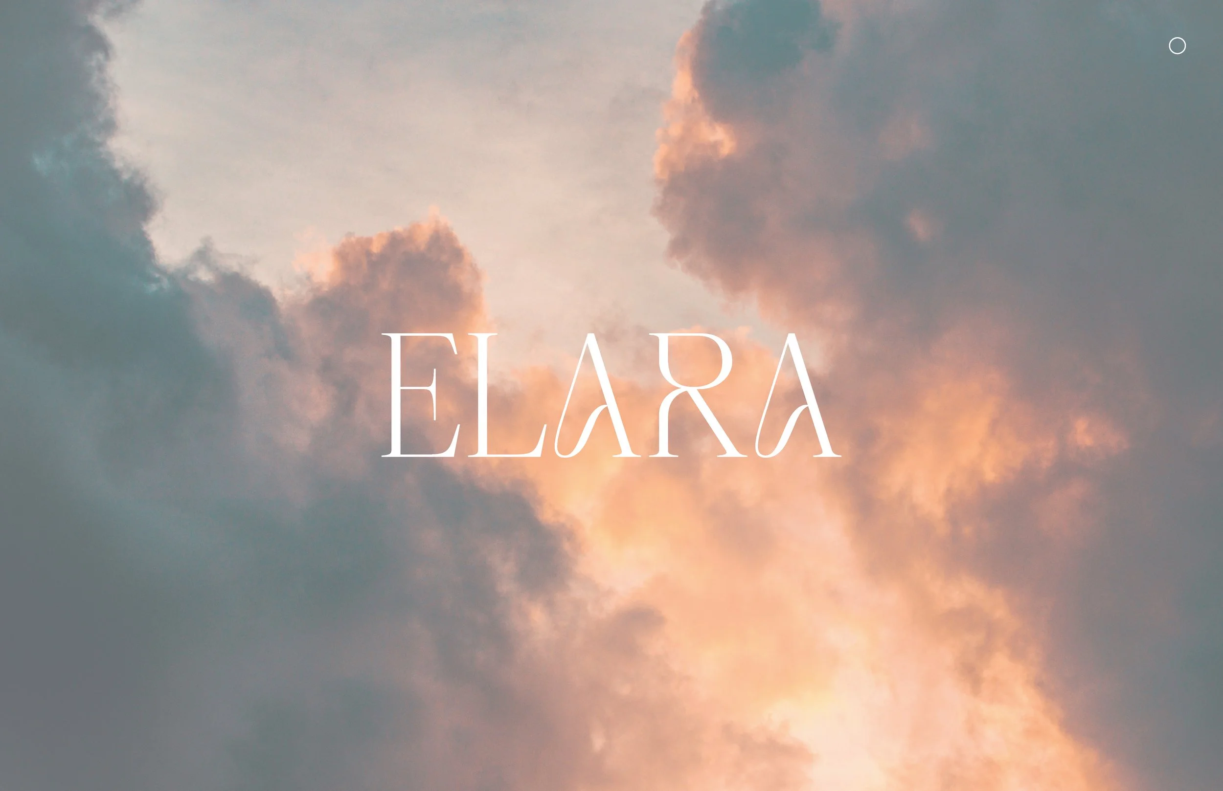 Elara_Brand_Guide_Final_Page_13.jpg