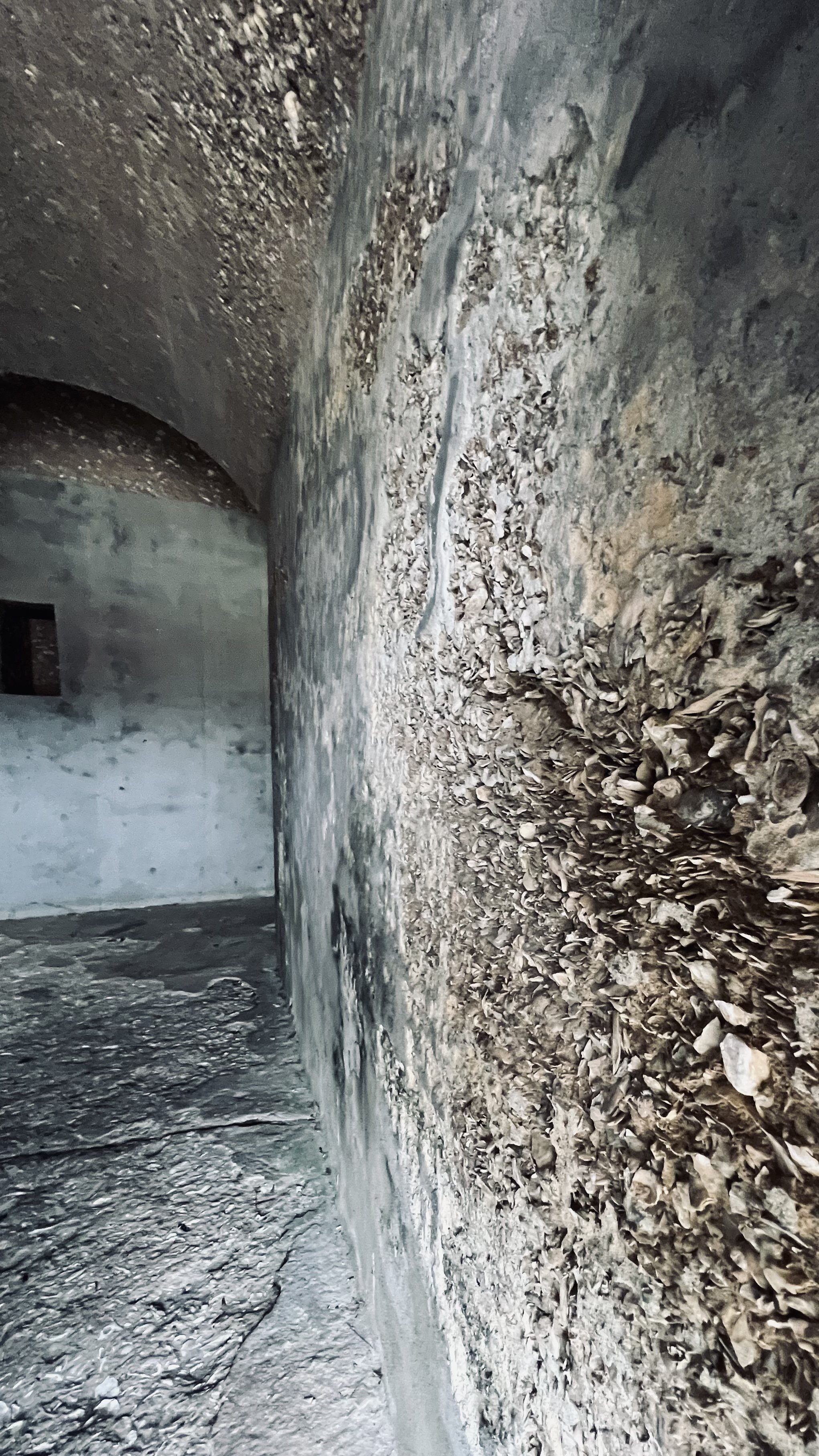 Shell covered wall in Fort Pulaski.