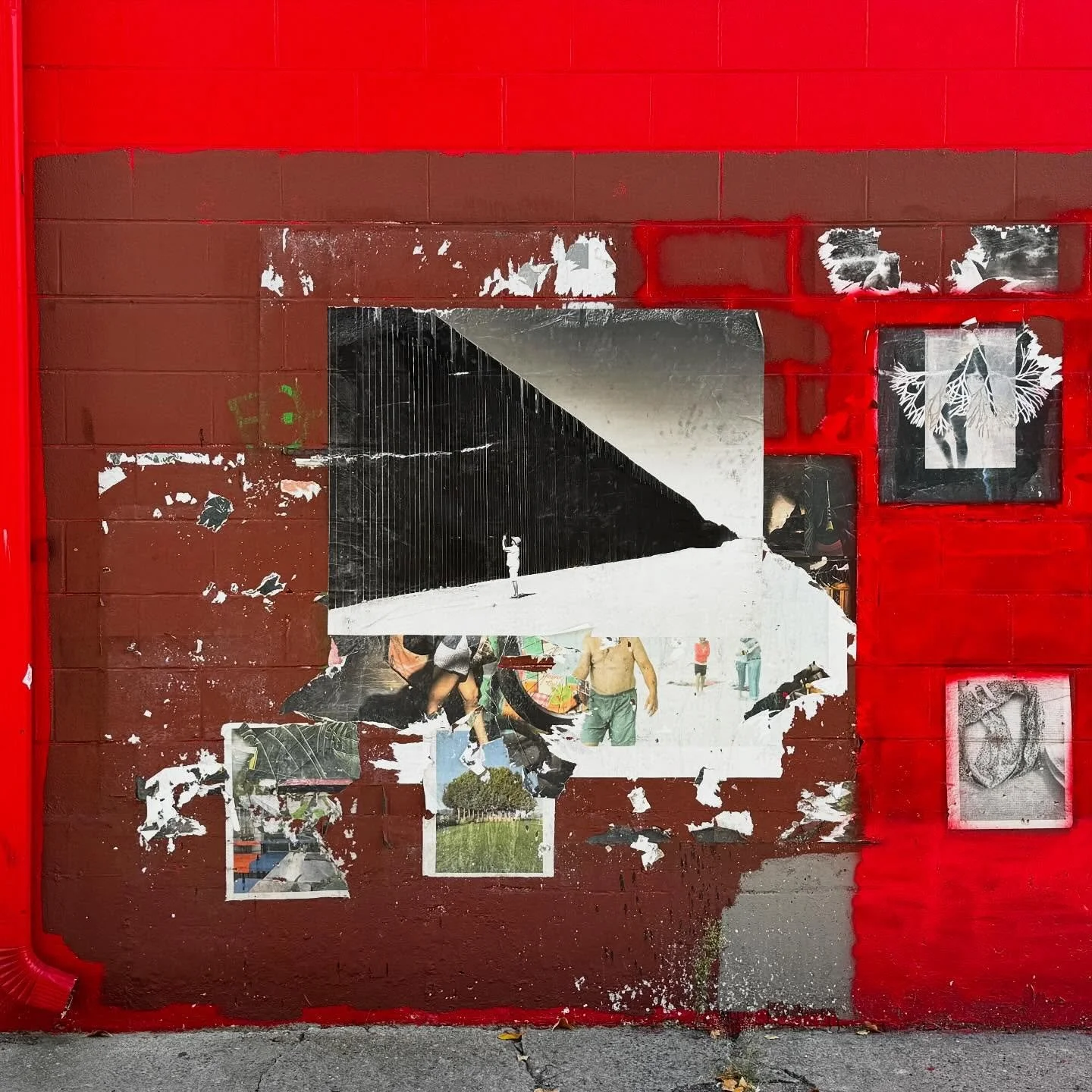 Public Art - a great way to get more eyes on what a 30 foot steel bollard border wall looks like. Thank you @the_big_picture_colo for this powerful opportunity to share art with all people. #wheatpaste #publicart #publicartforall #borderwall #lauries