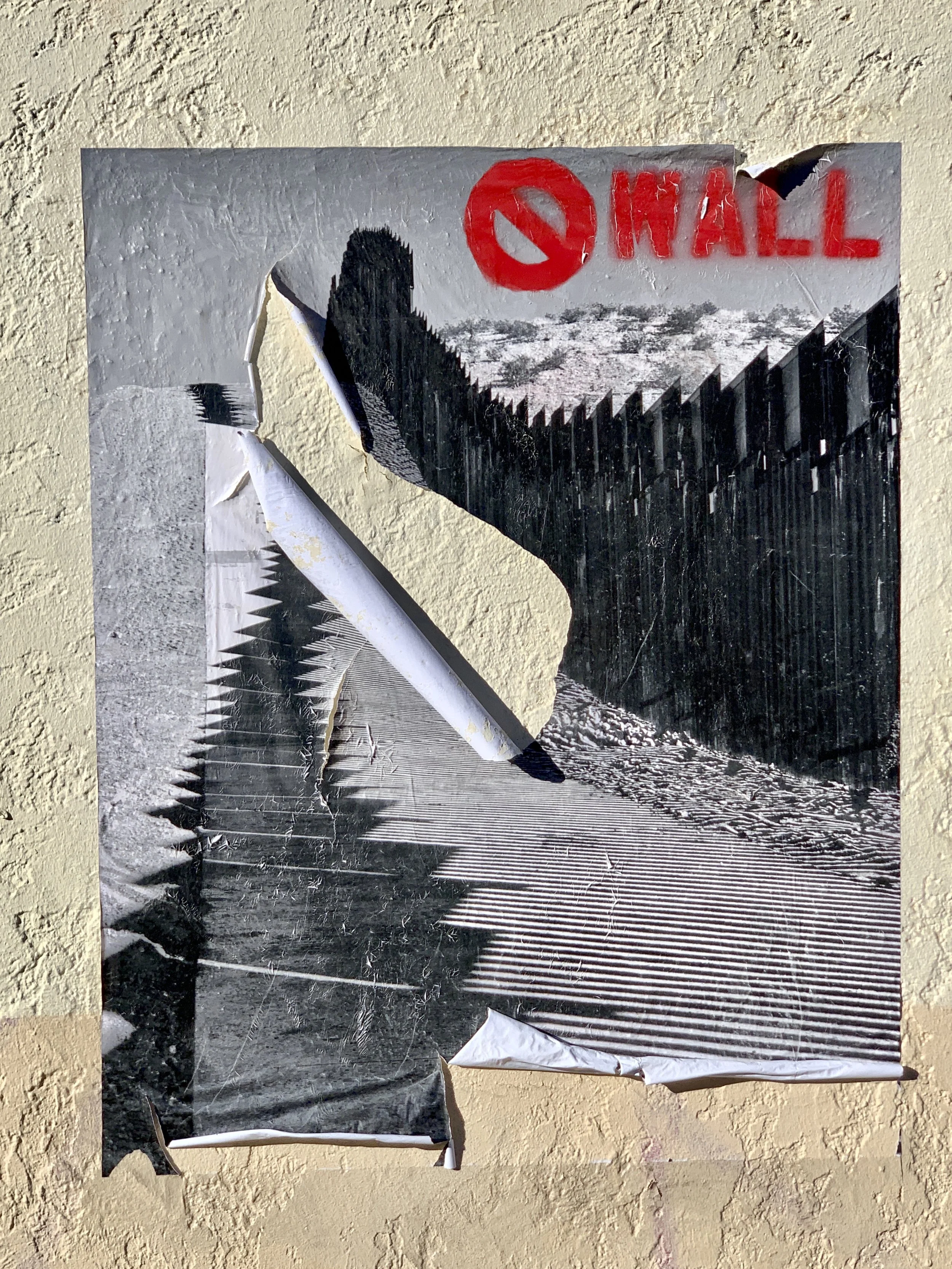 IMG_7502.jpeg