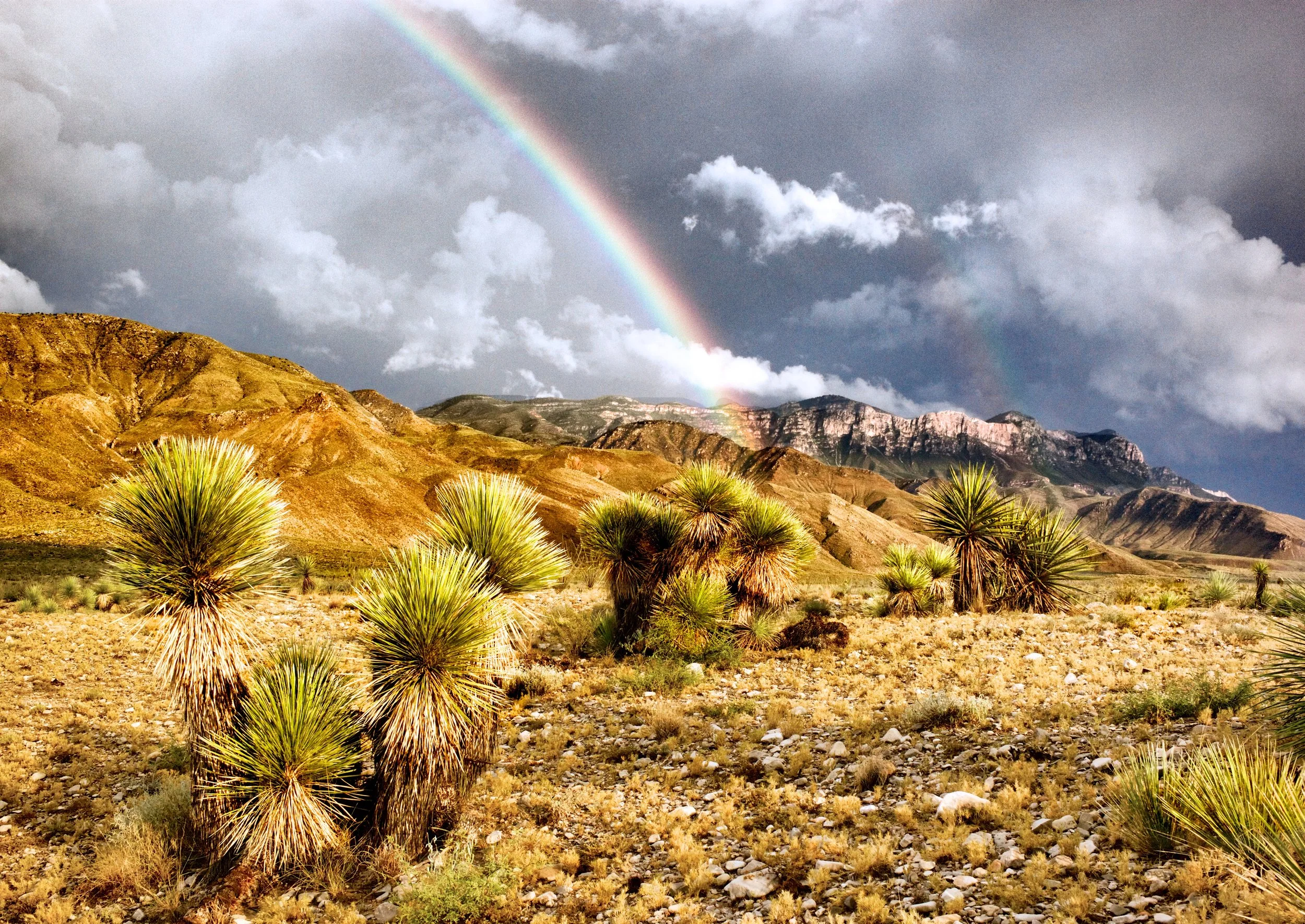 After the StormL1001153.jpg