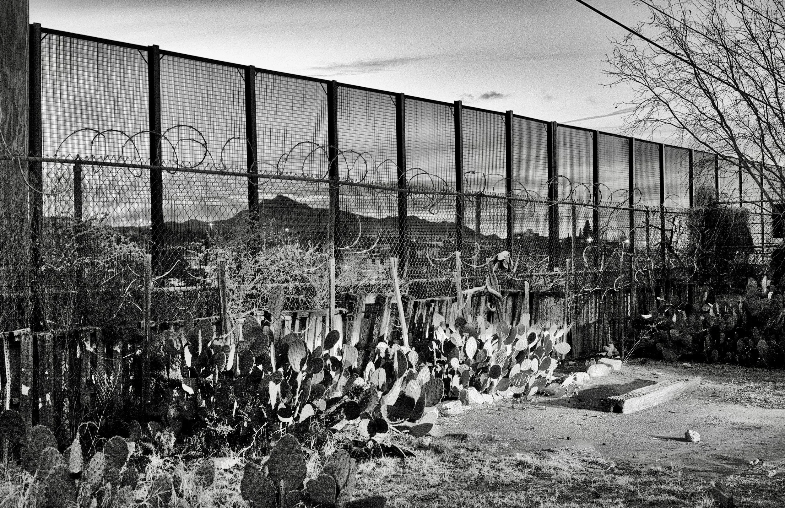 Prickley Pears at the Wall_El Paso, TX 2019.jpeg