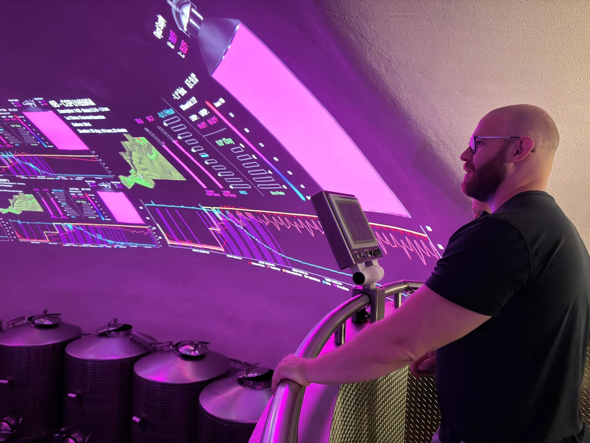 Palmaz Vineyards Napa Valley