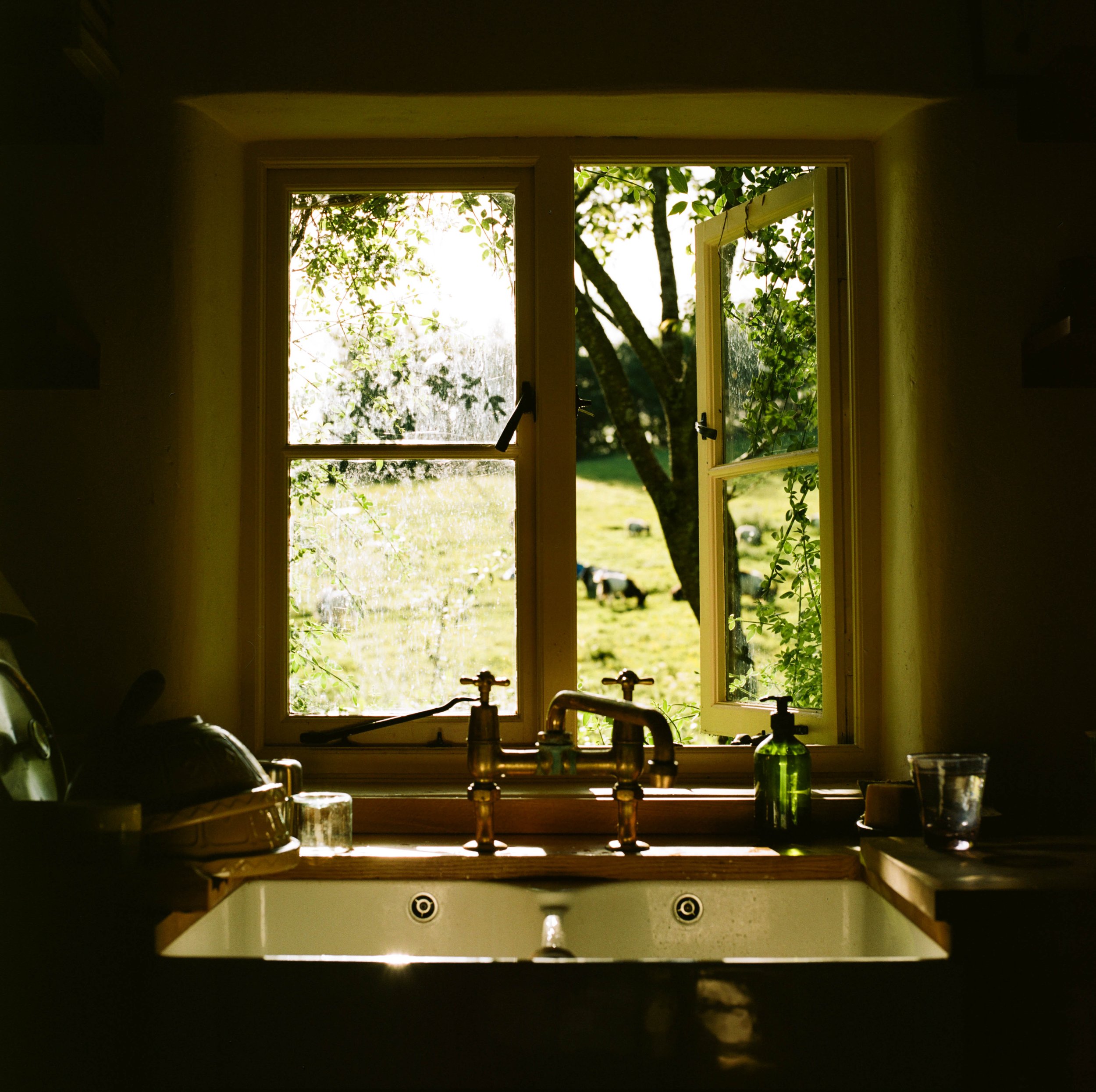 01_SPRING_JR_EH-3.jpg