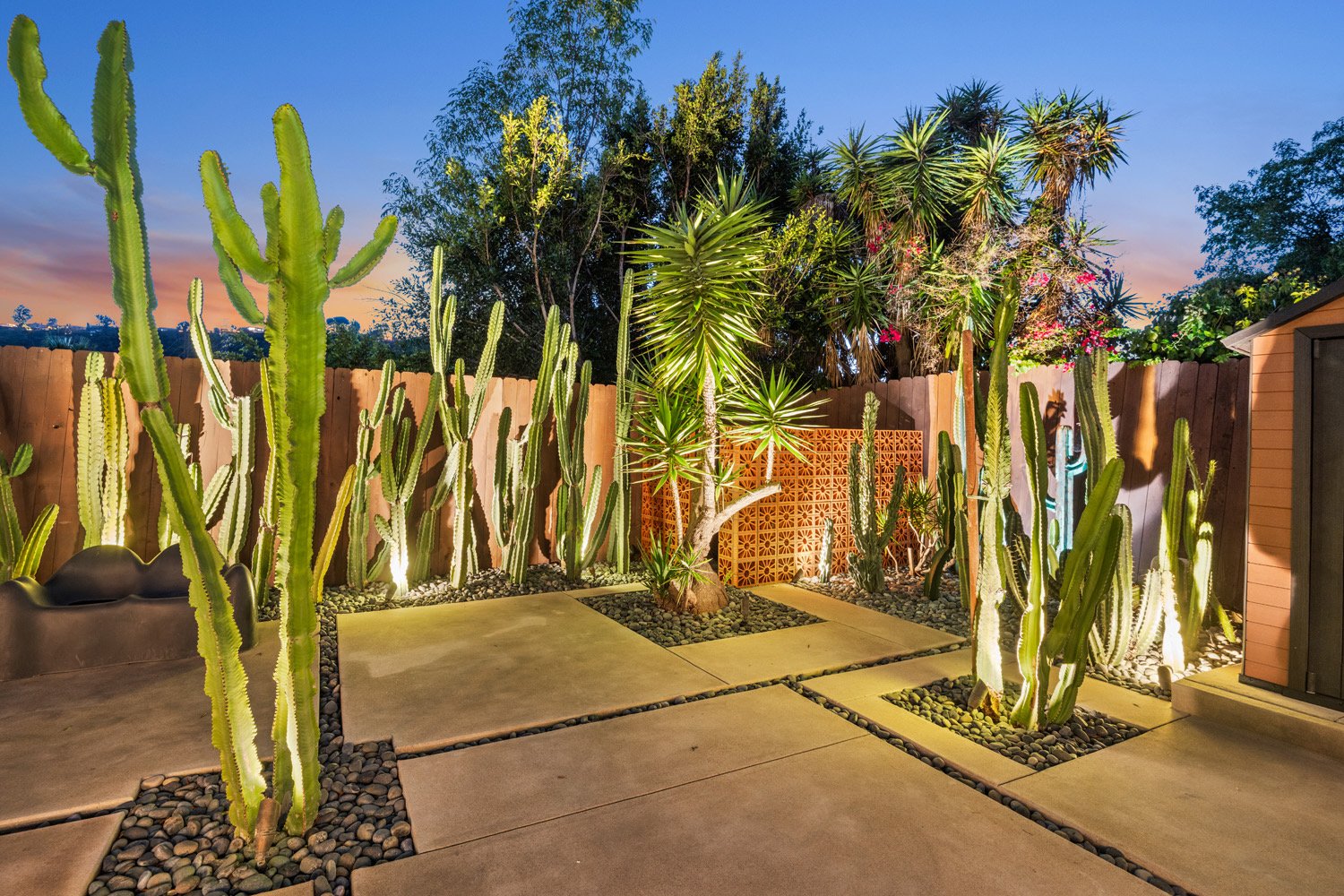 Twilight Photgography-Backyard Cactus-Real Estate Photography-Hollywood 3.jpg