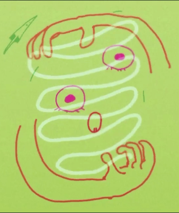 GIFMaker_me (10).gif