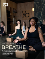 BREATHE | A Pranayama Experience