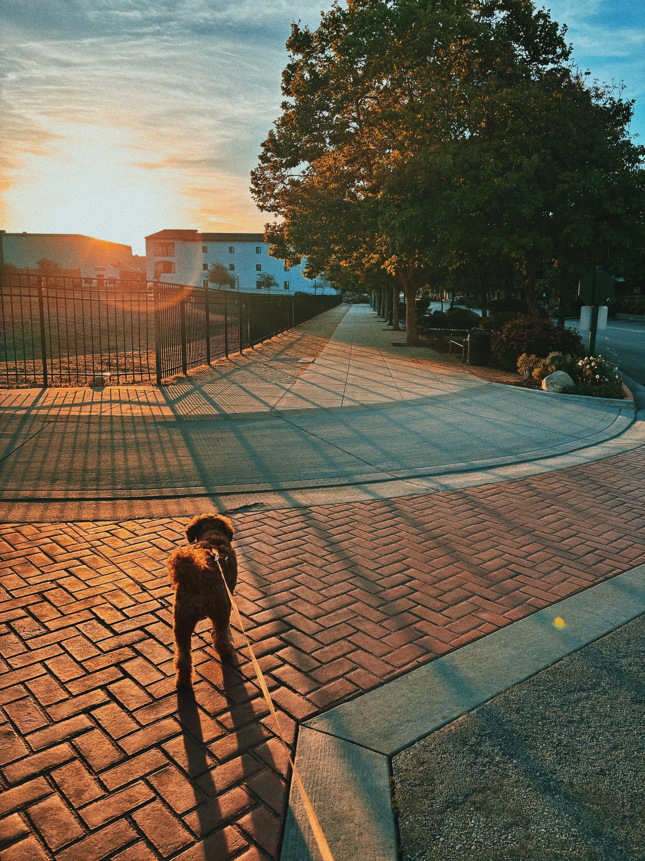 quiet scene offering visual calm during nervous system dysregulation and attachment injury