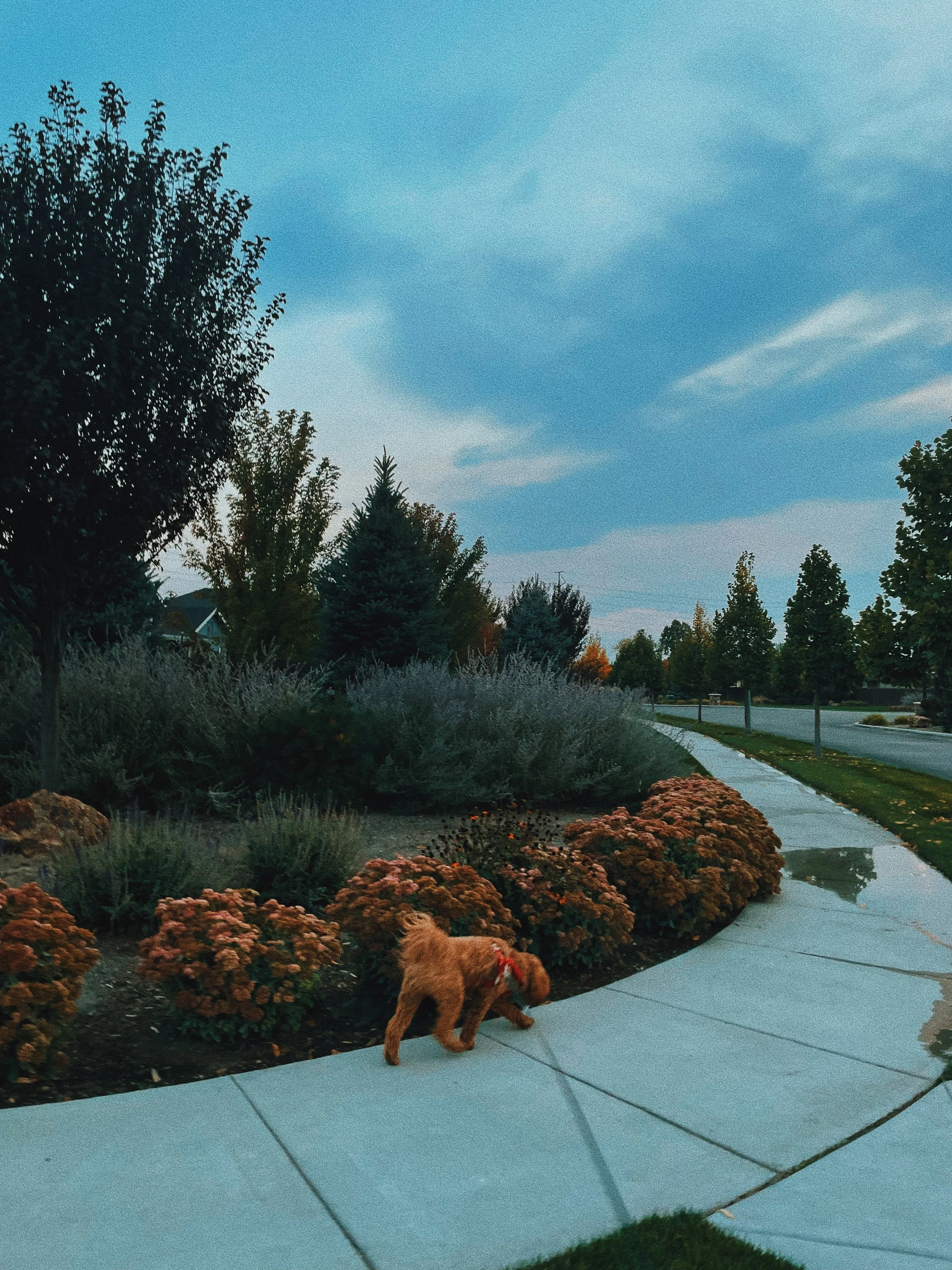 photo representing healing after being erased during discard