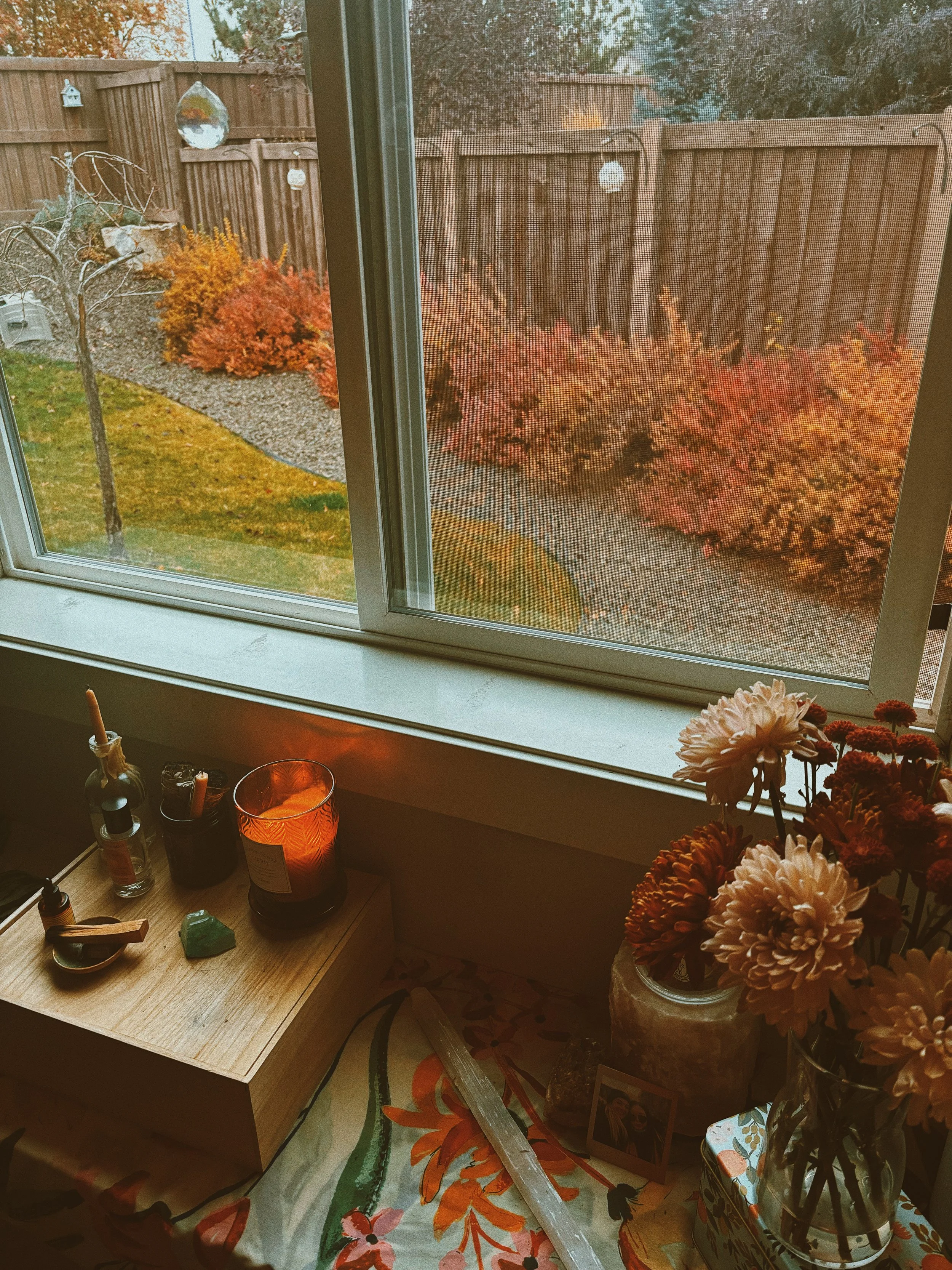 quiet scene offering visual calm during nervous system dysregulation and attachment injury