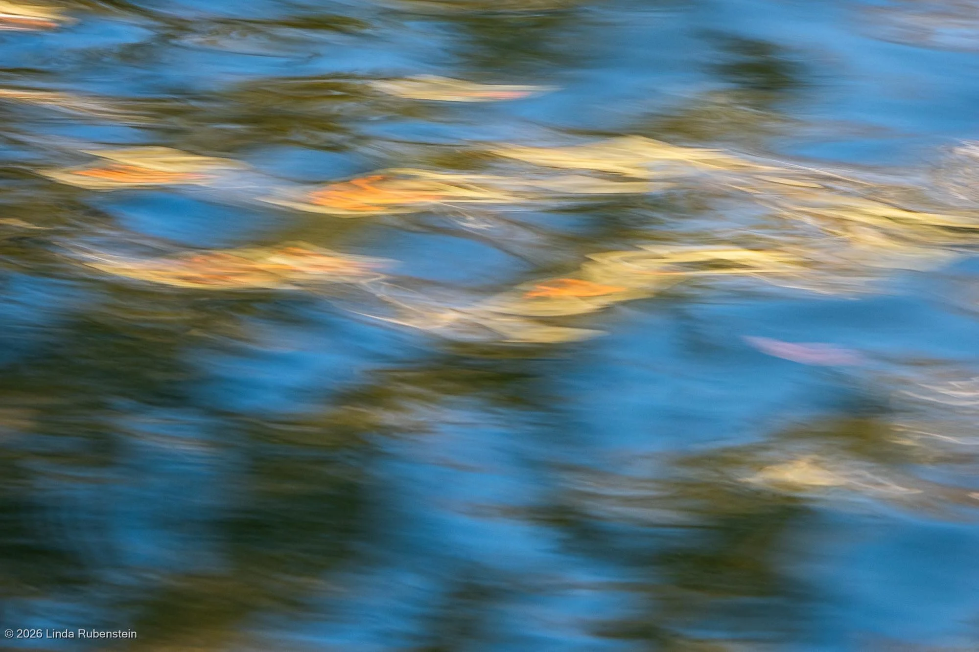 DSCF9566.jpg