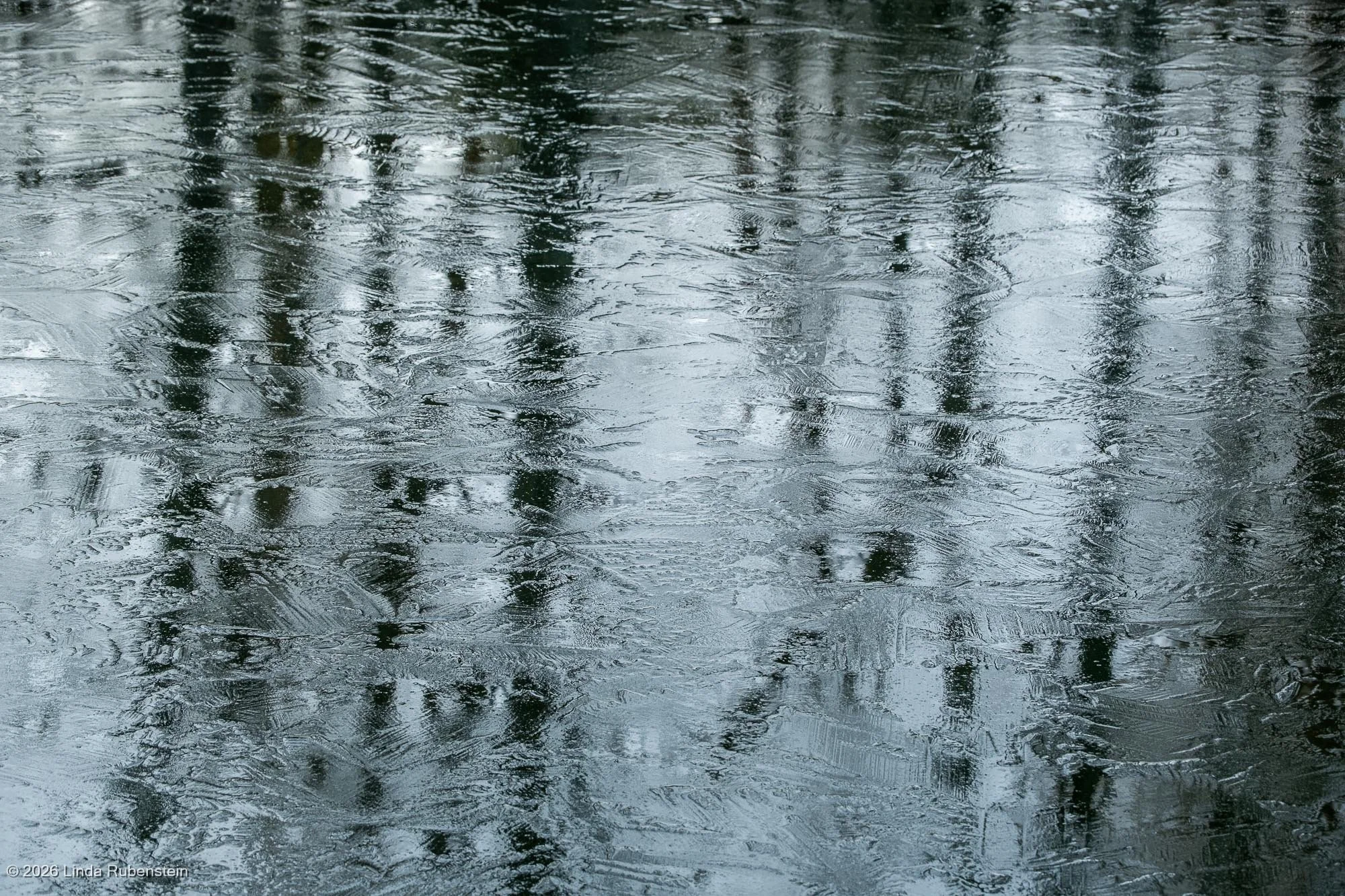 DSCF9115.jpg