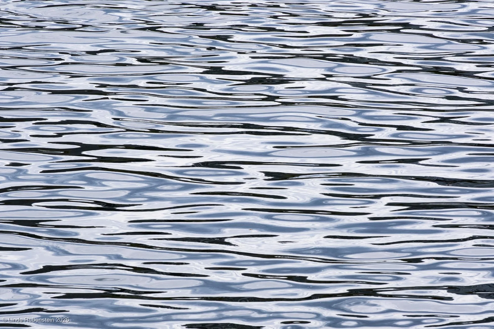 DSCF1117.jpg