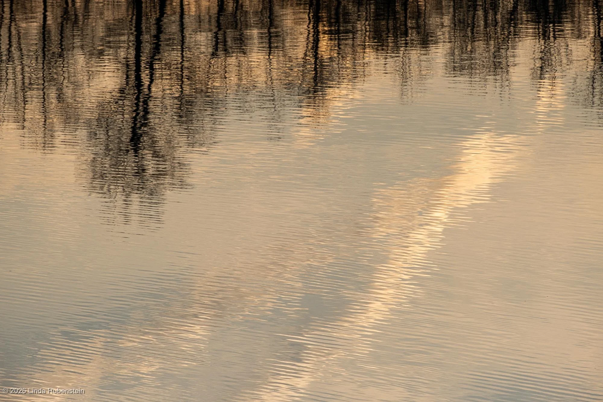 DSCF2793.jpg