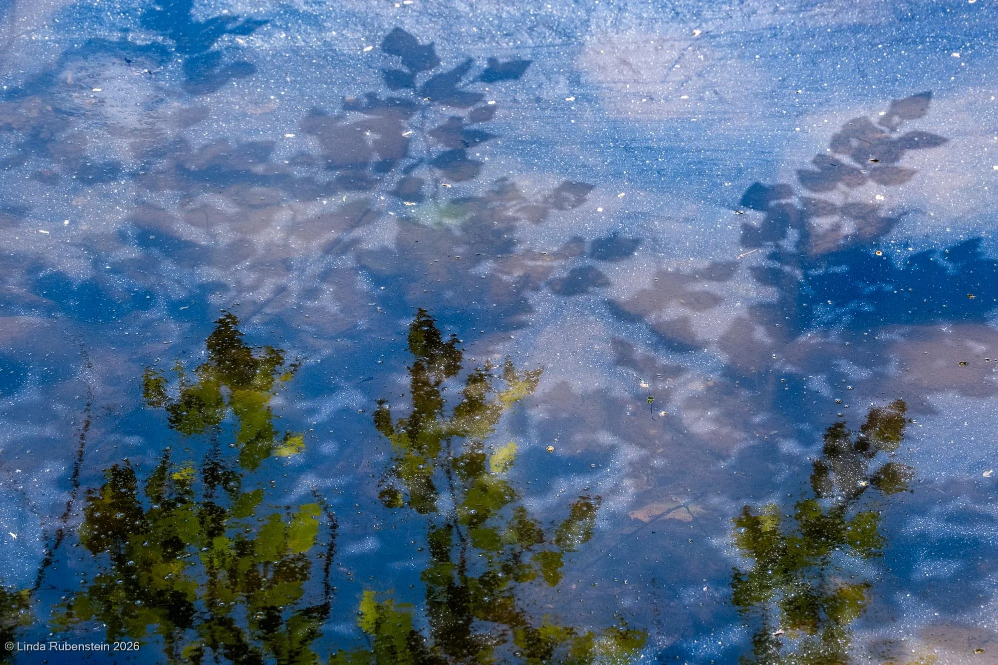DSCF3640.jpg