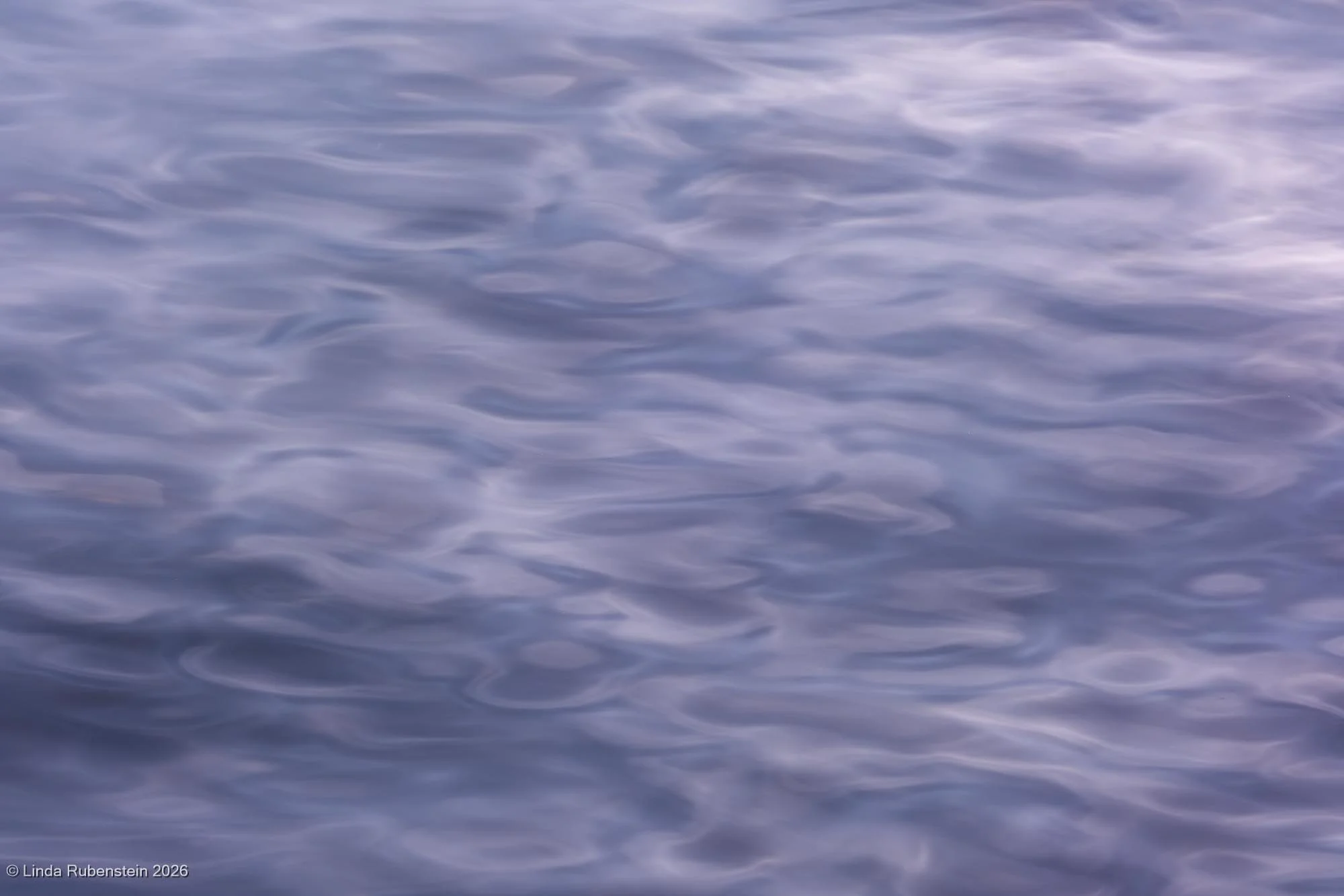 DSCF2173.jpg