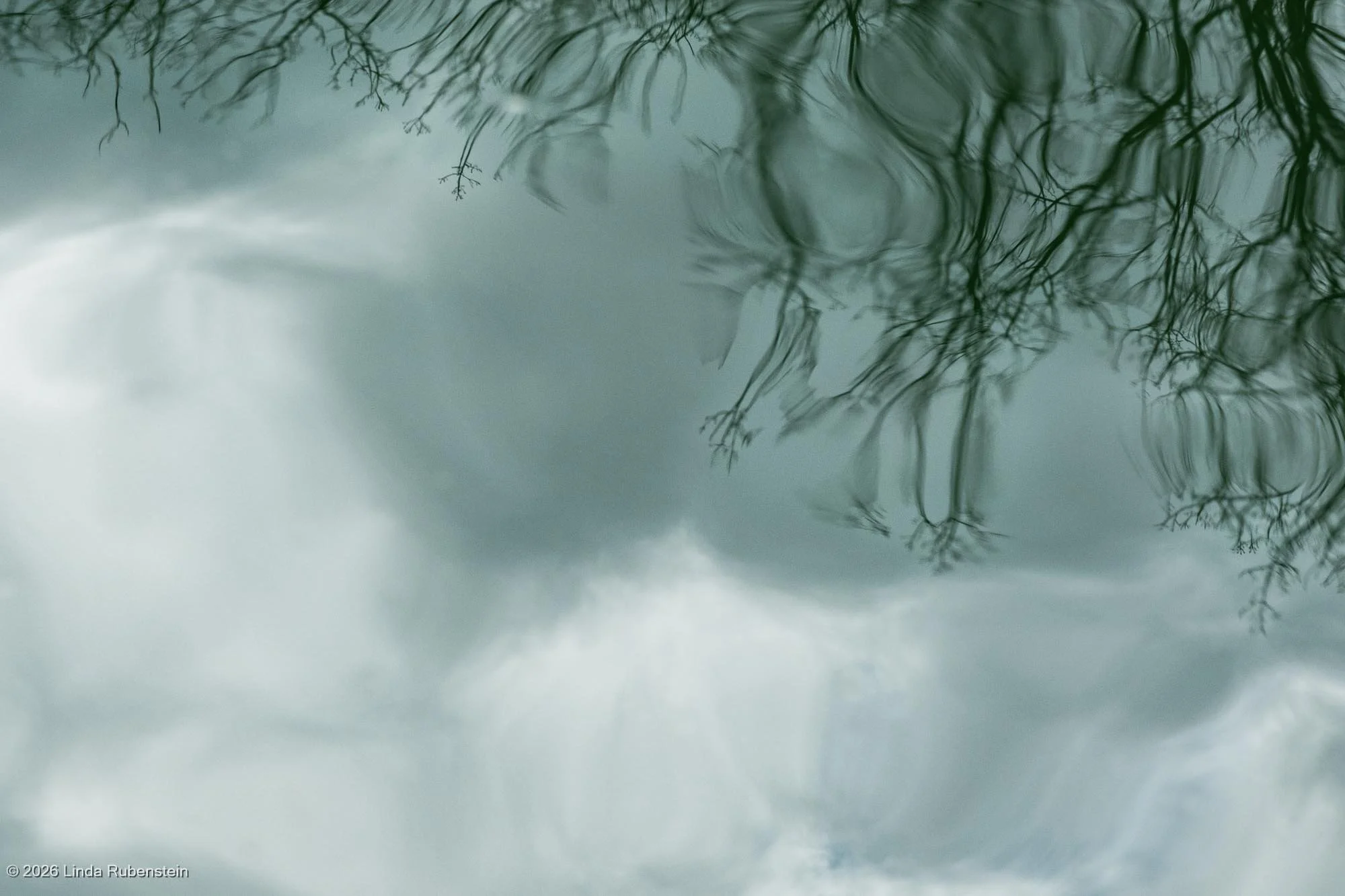 DSCF9914.jpg