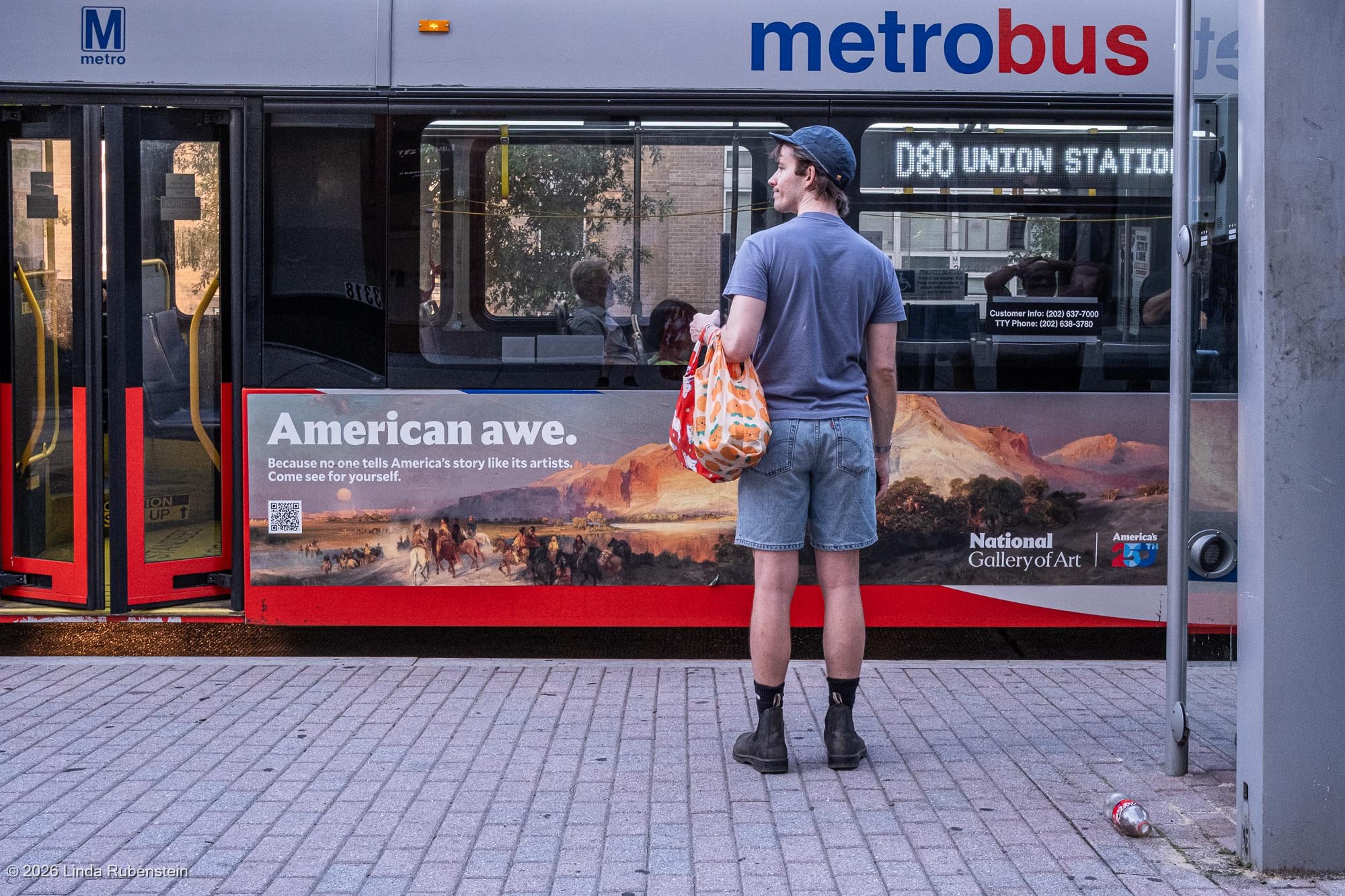 metro, washington dc, bus