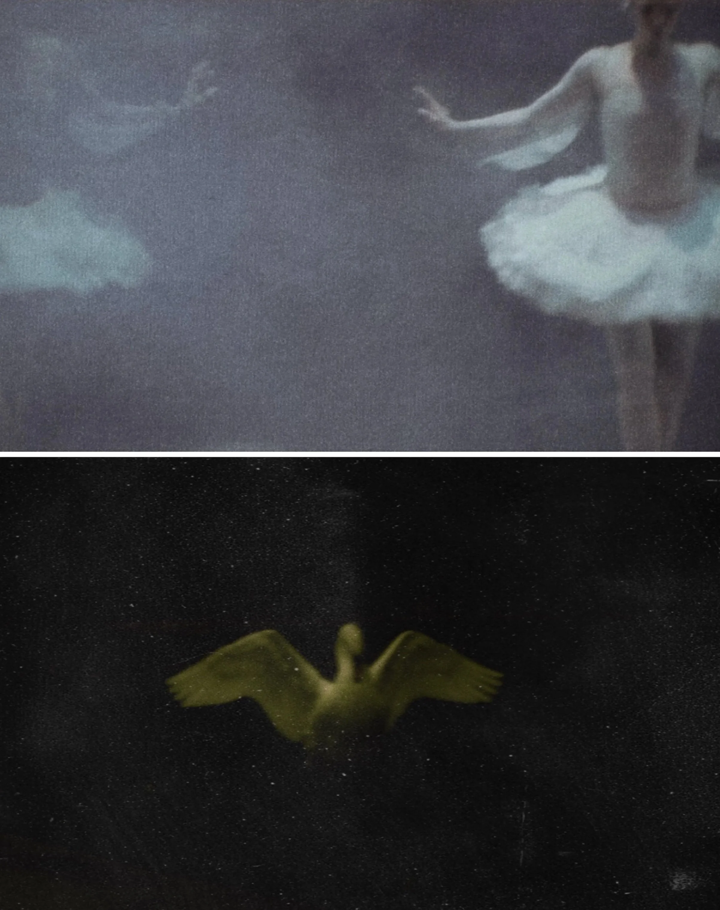 photo-output.jpg