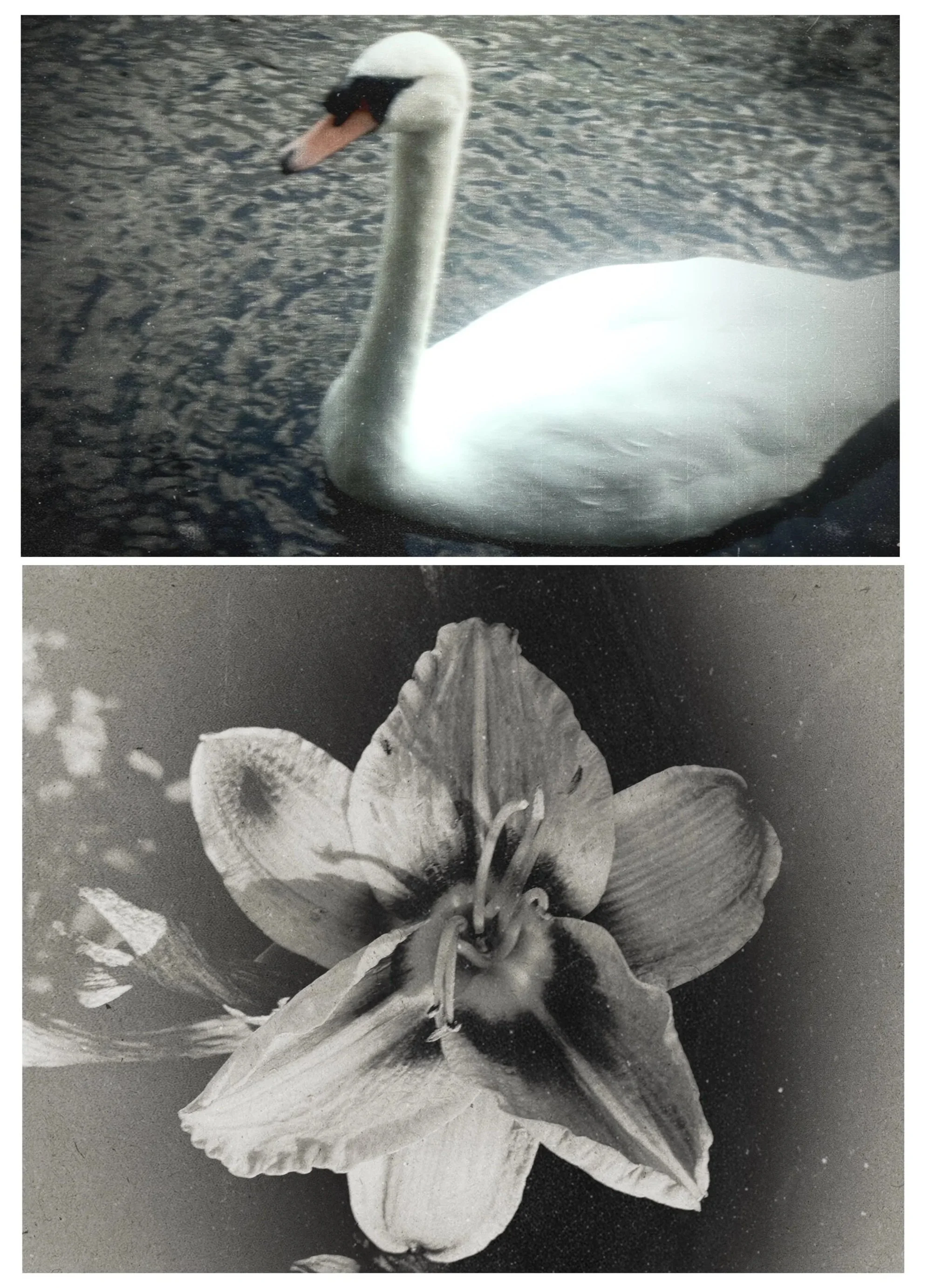photo-output.jpg