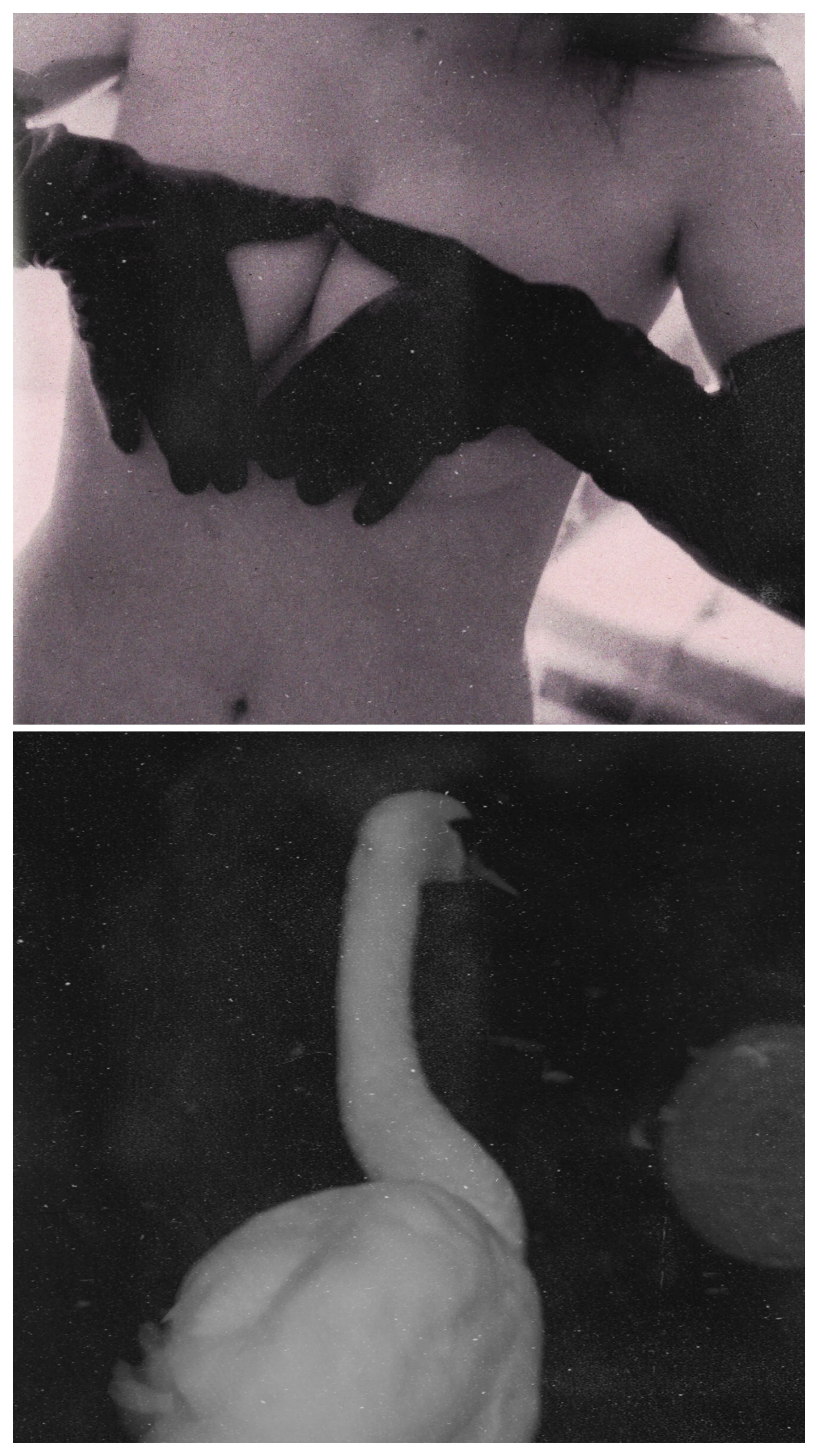 photo-output.jpeg