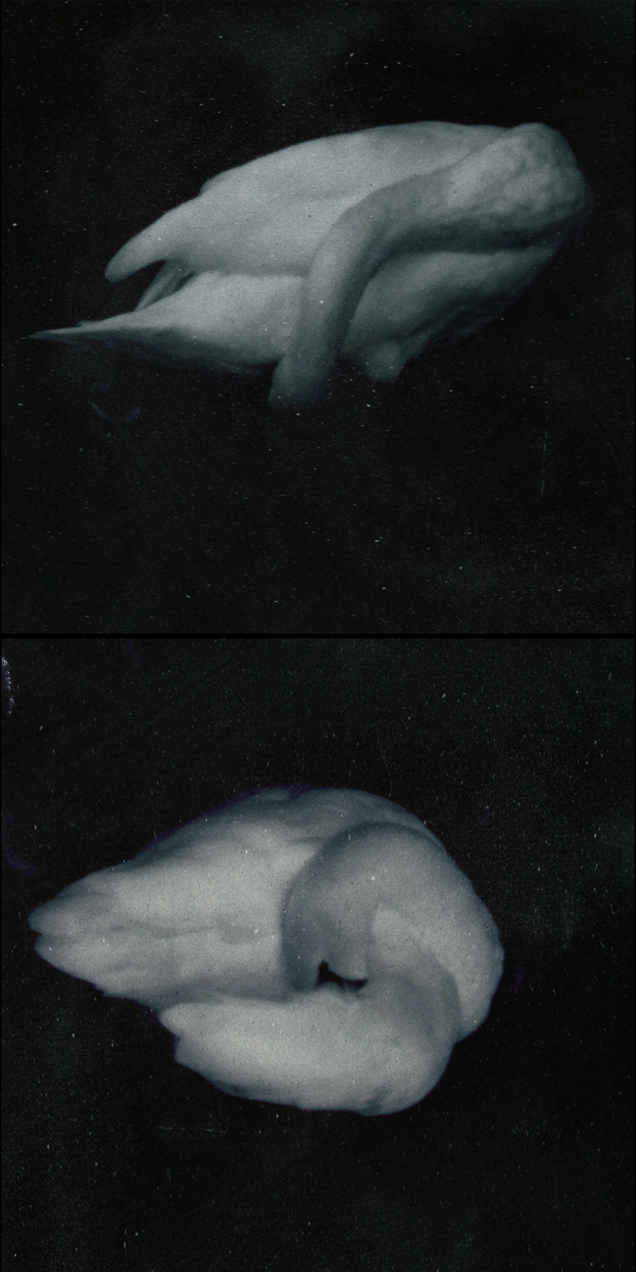 photo-output.jpeg