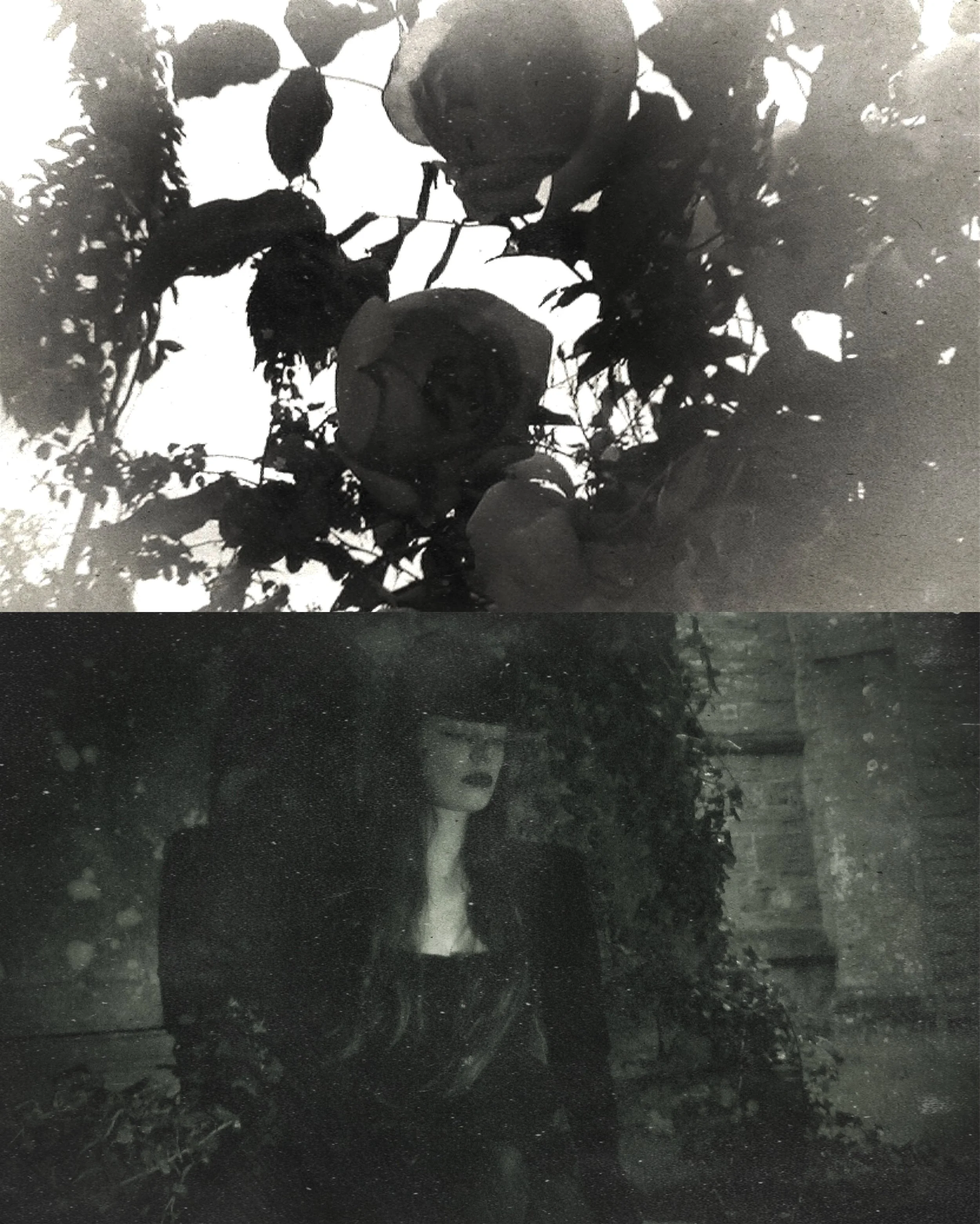 photo-output.jpeg