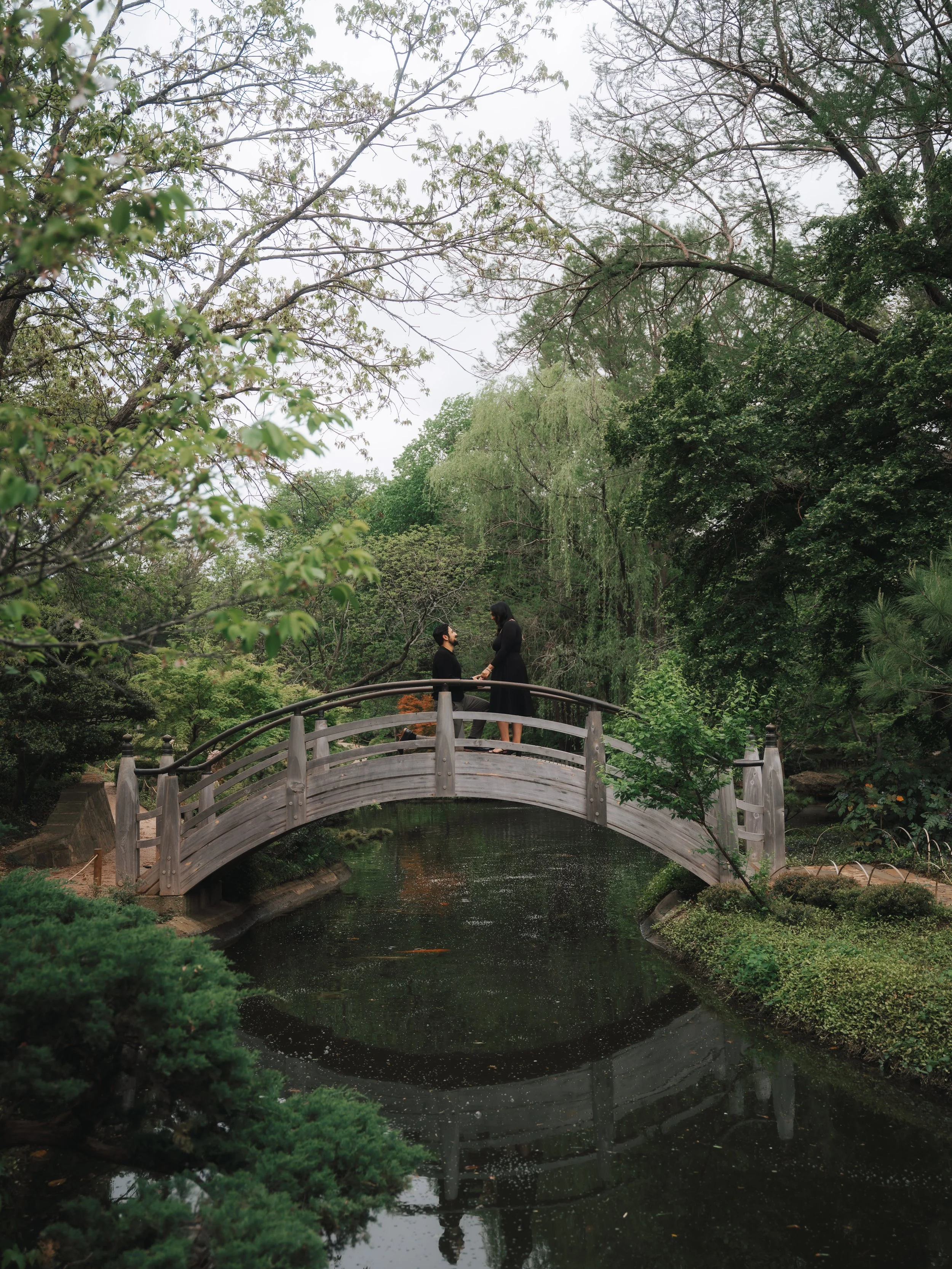 A Dreamy Morning at the Japanese Gardens: Jad &amp; Loana’s Moon Bridge Proposal