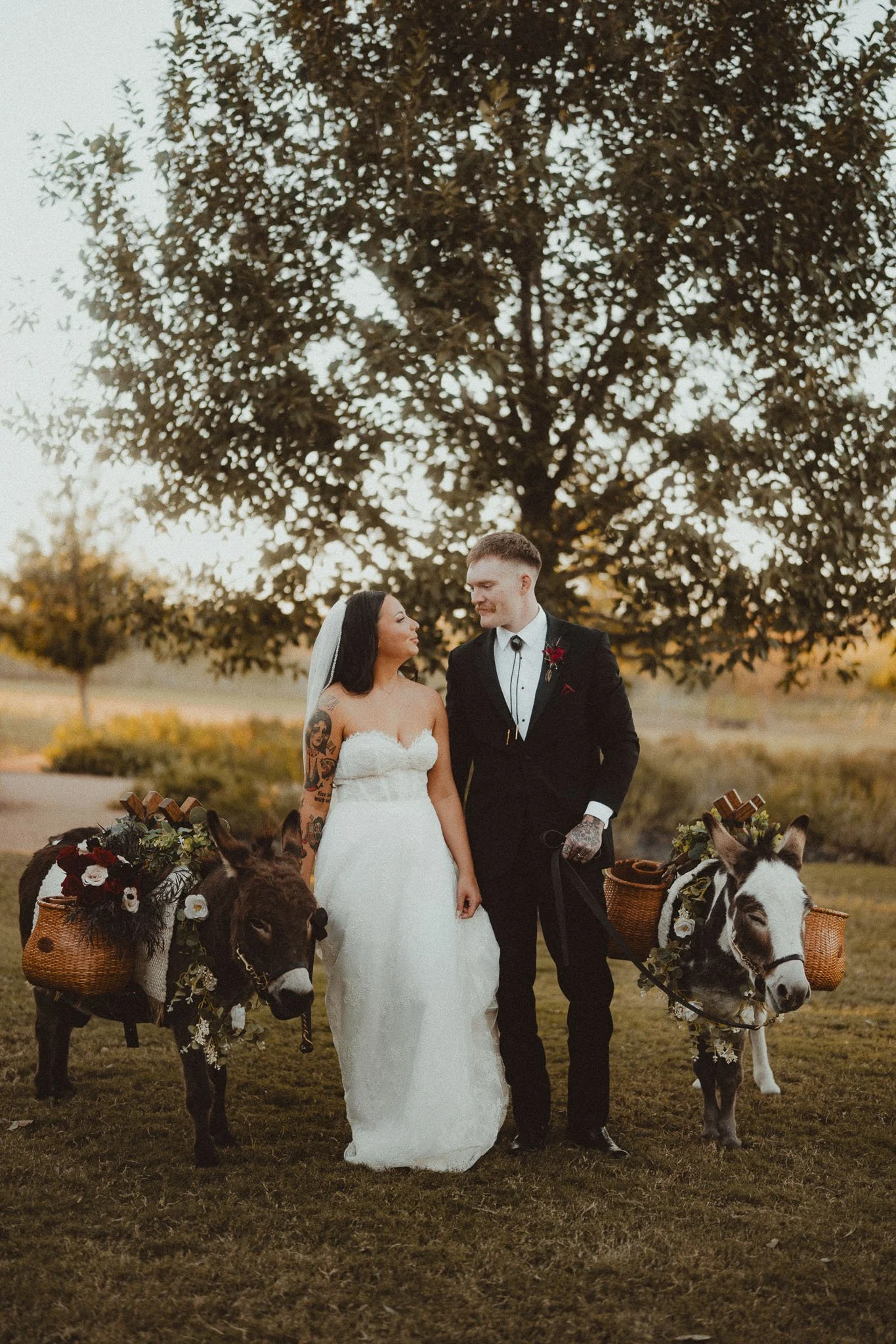 maddie-michael-wedding-portraits-beer-donkeys.jpg