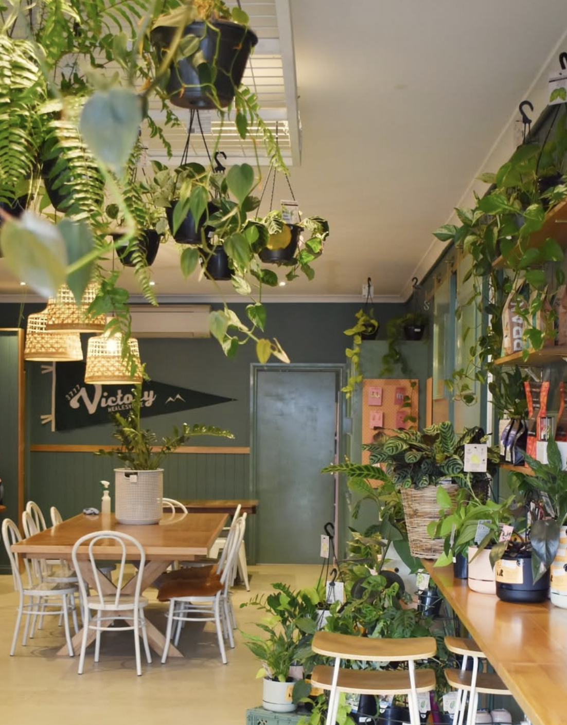 Freedom Cafe The Hive Healesville.png