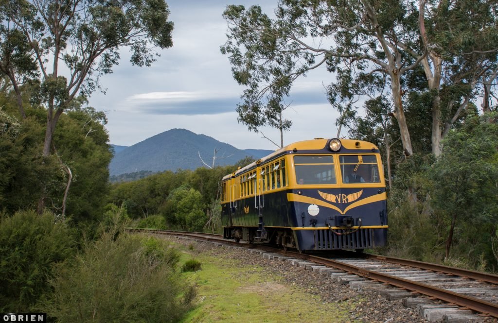 yarra valley railway.jpg