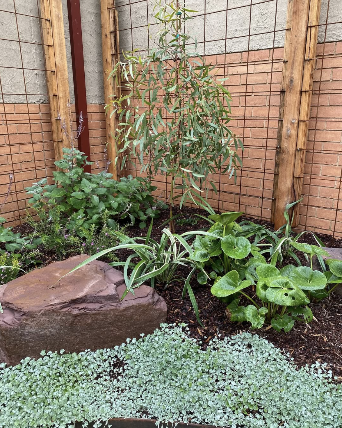 Ballard Landscape Design Healesville.png