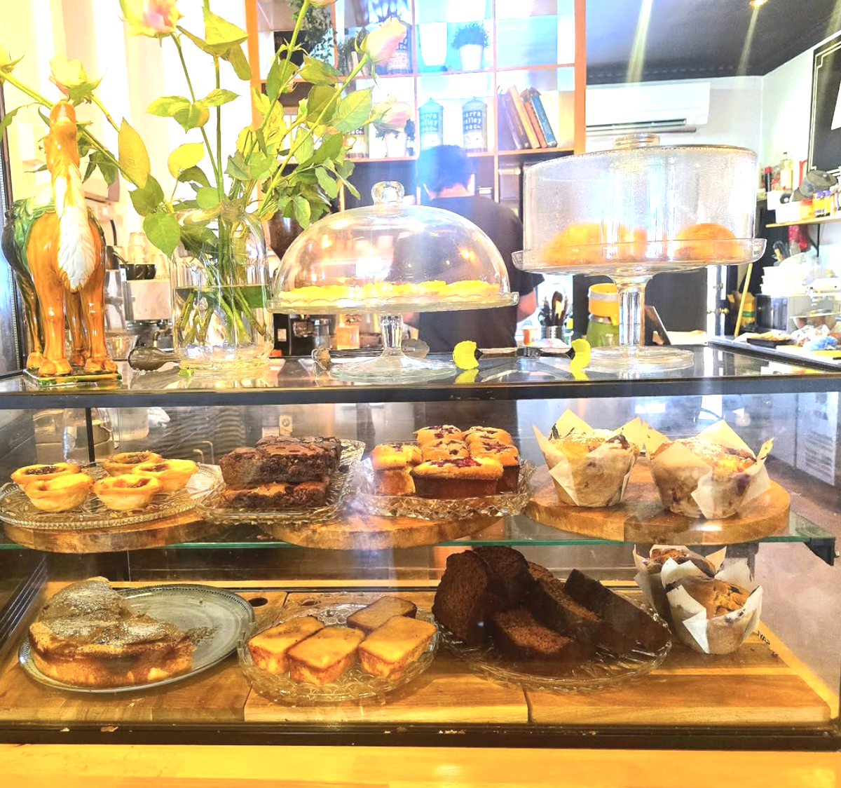 Alba Paloma Healesville.png