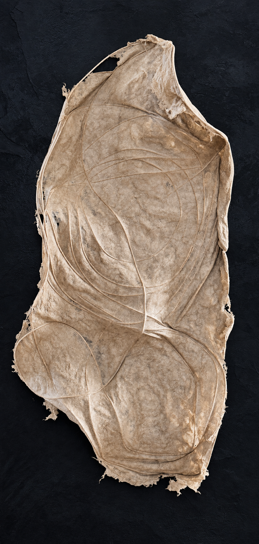 ChatGPT Image Sep 24, 2026, 03_34_51 PM.png