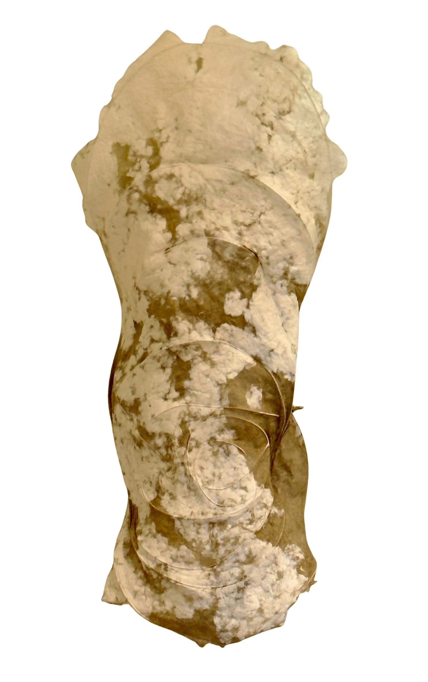 Untitled design (4).jpg