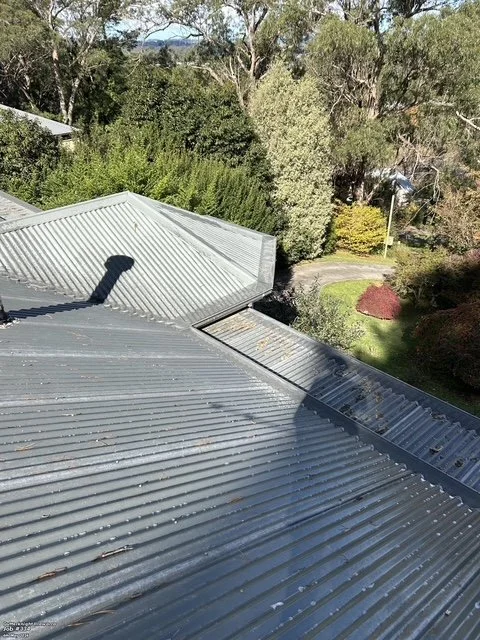 High-angle view of a grey corrugated metal roof showing newly installed premium gutter guards protecting the roof valleys from leaves, surrounded by a green garden setting.