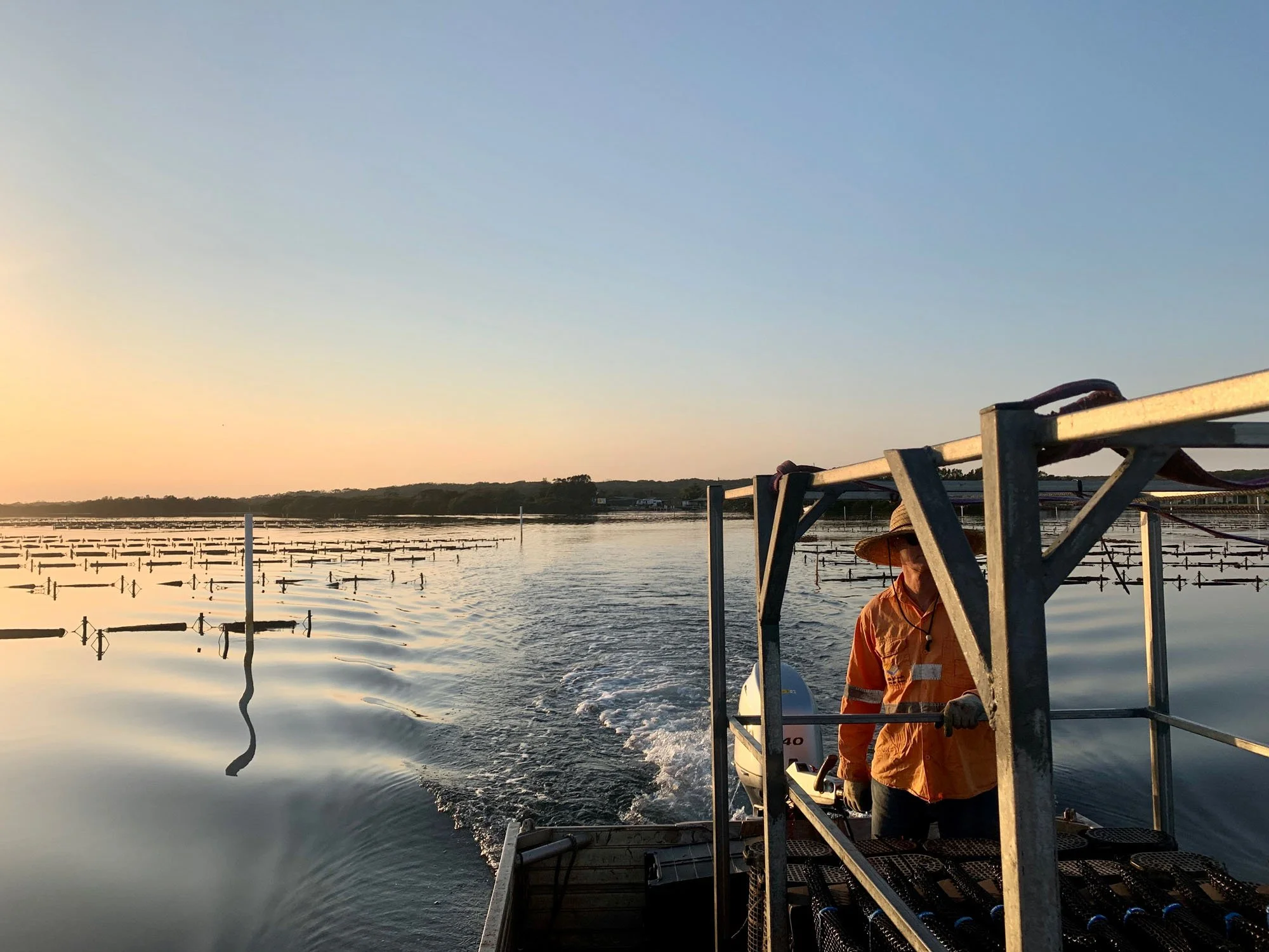 Bel's Oysters farmer steering a punt through the oyster leases at sunset on the Shoalhaven River